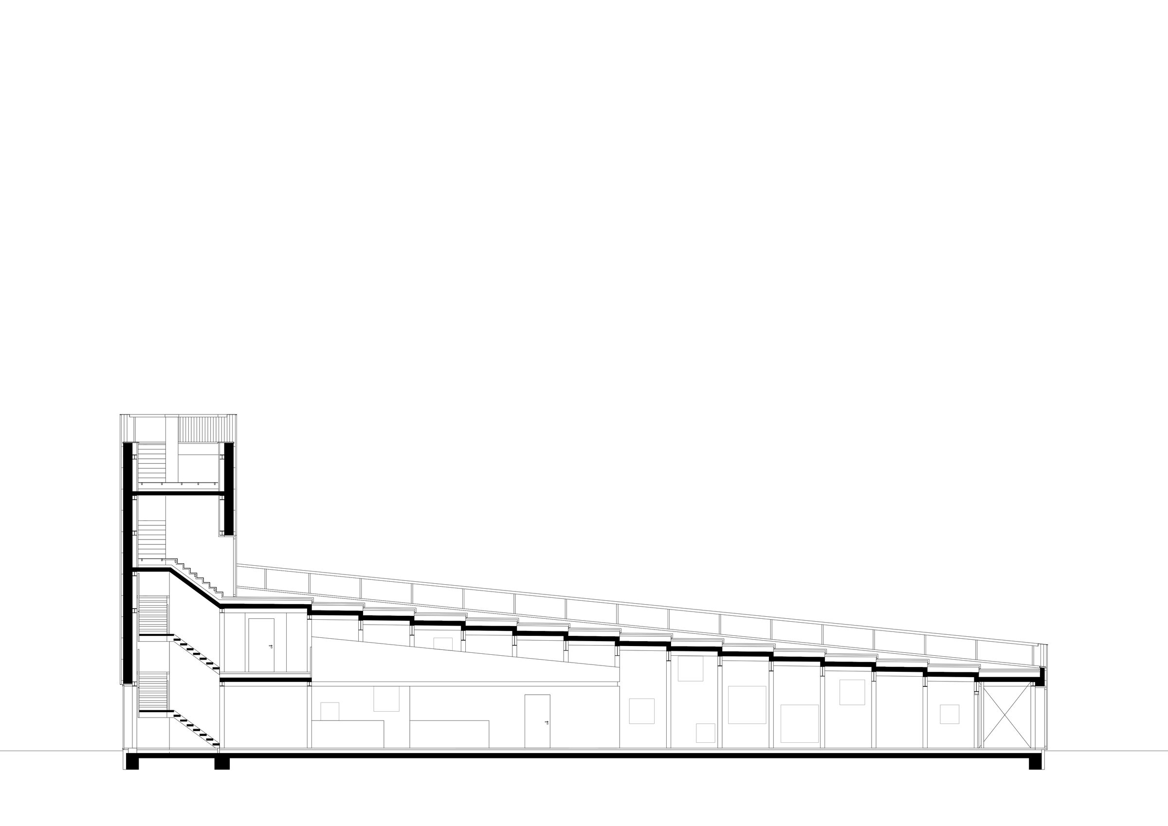section