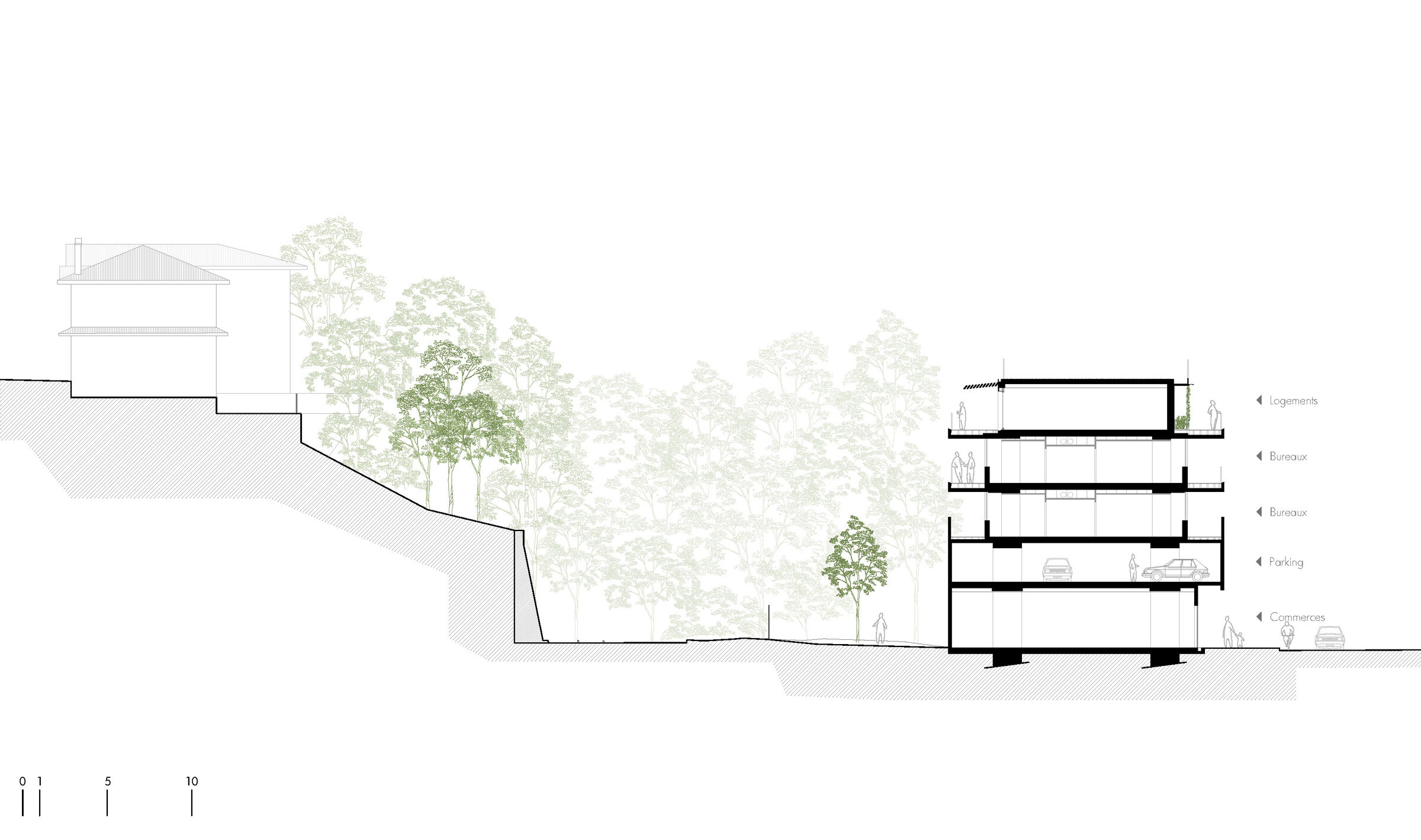 Section