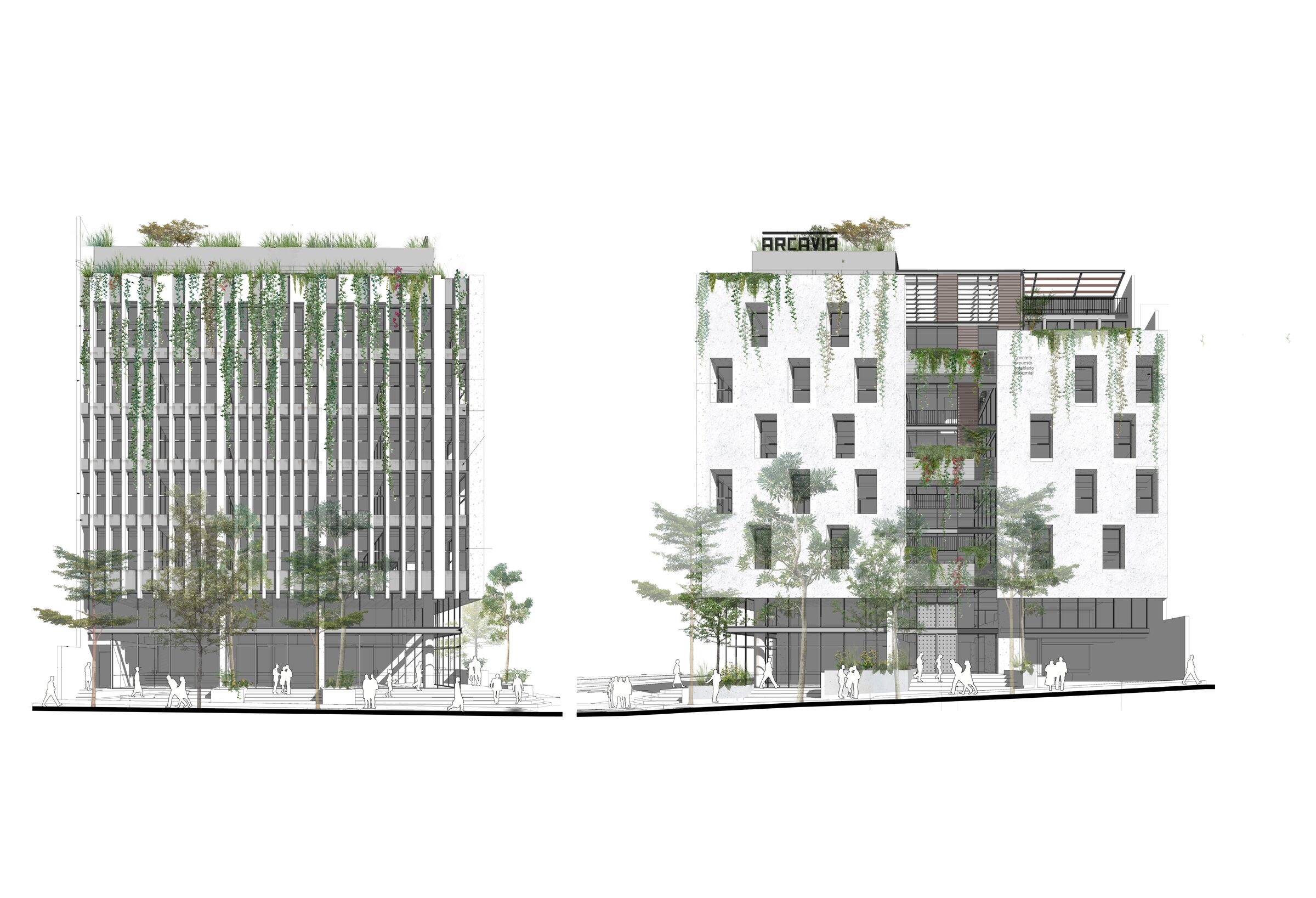 Elevations