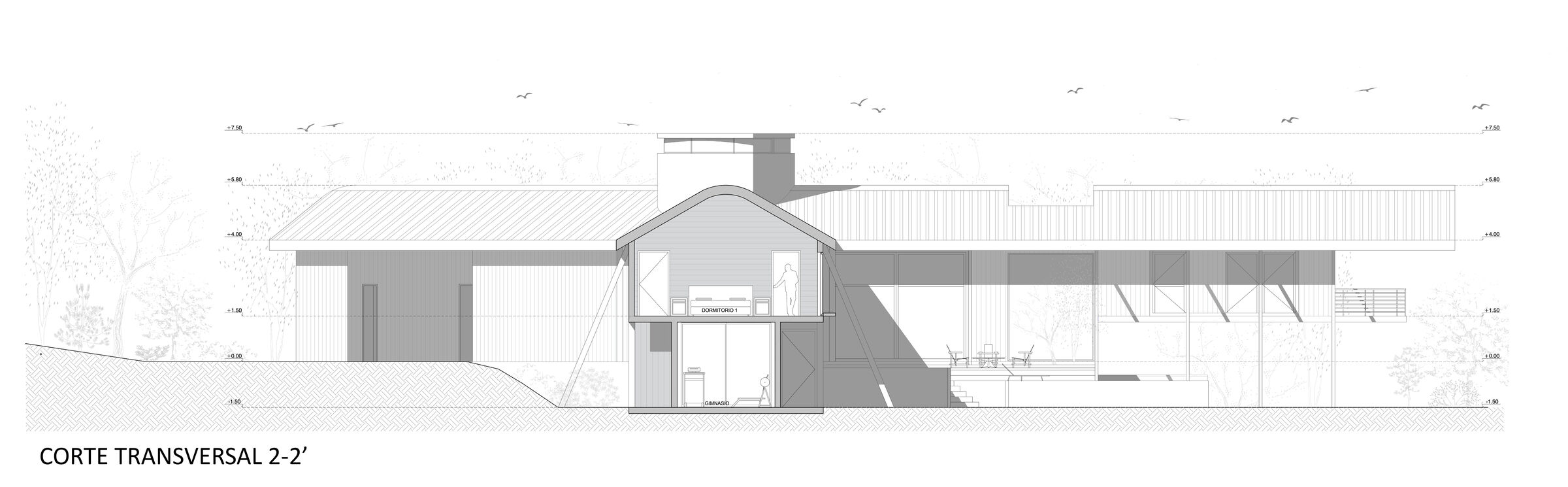 Cross Section