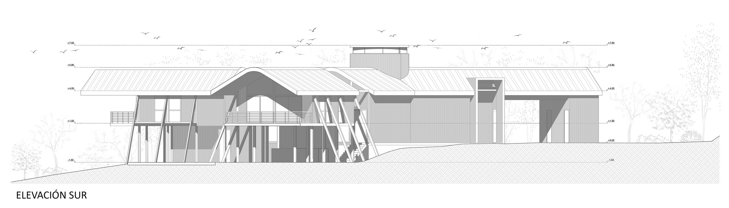 South Elevation