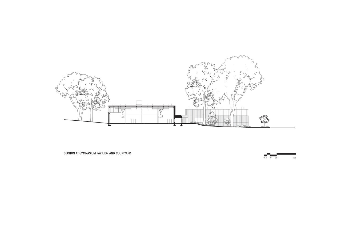 Section at Gymnasium Pavilion and Courtyard