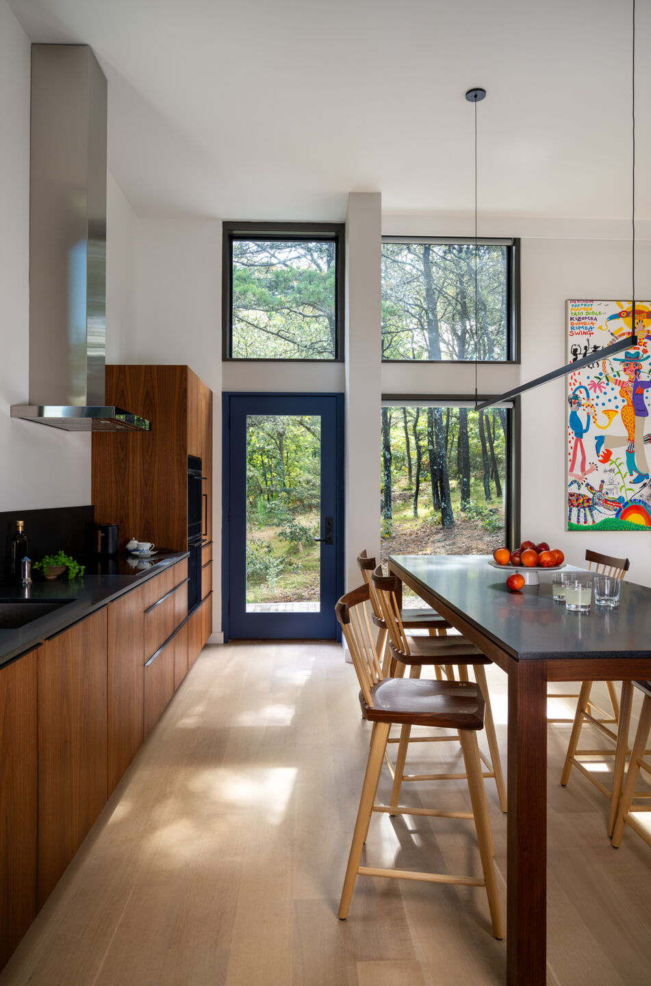 Modern Custom Kitchen