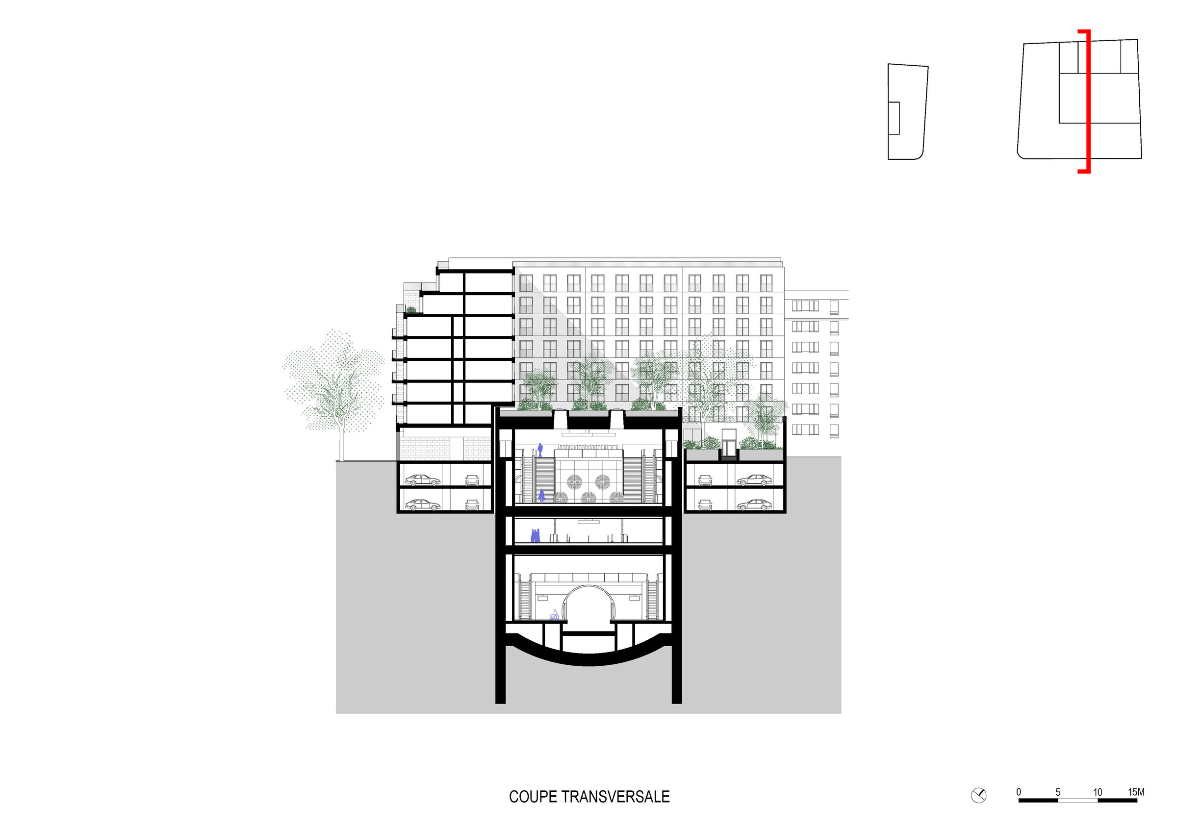 Coupe transversale