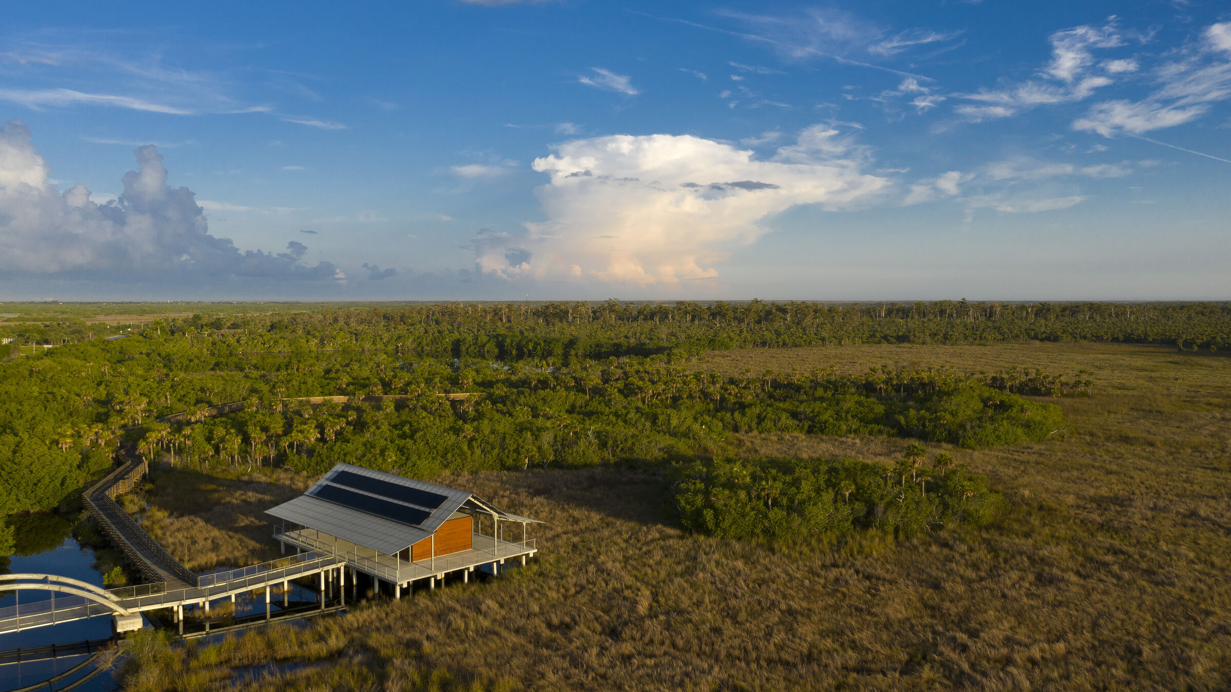 aerial view of pavilion showing old-growth cypress swamp in the distance