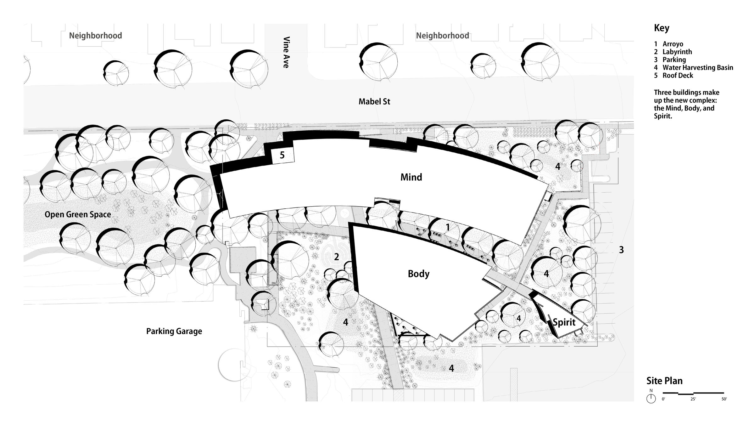 Site Plan