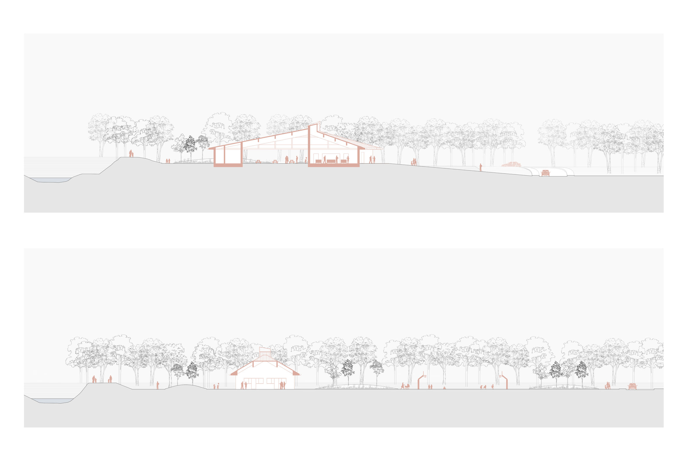 Sections and Elevations