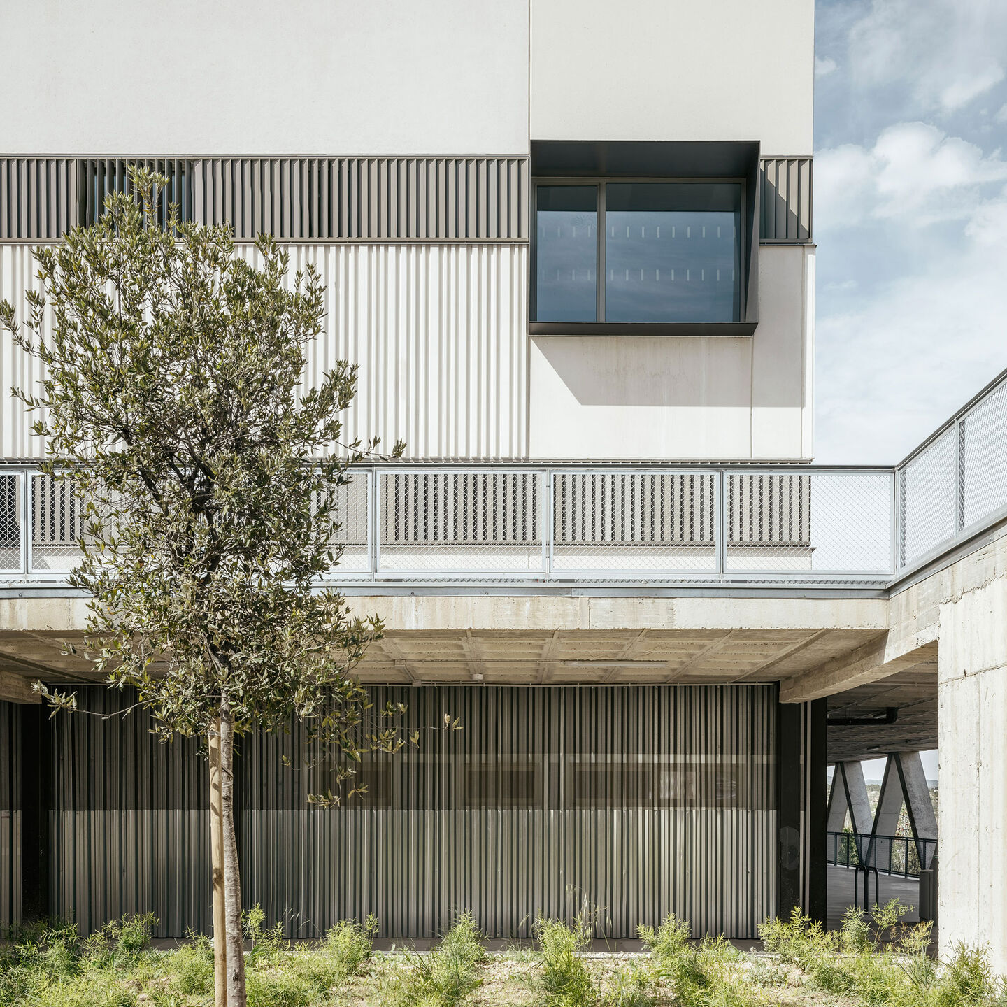 Ont. Hospital_Contell-Martínez+M.Vega