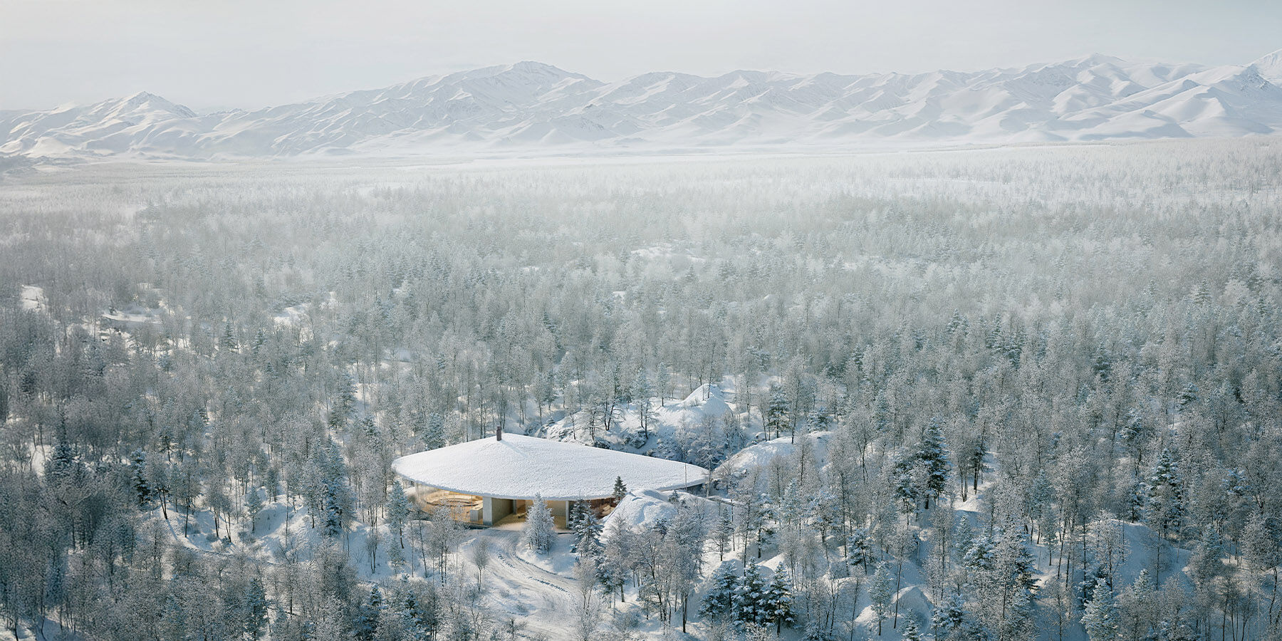 Birdeye View