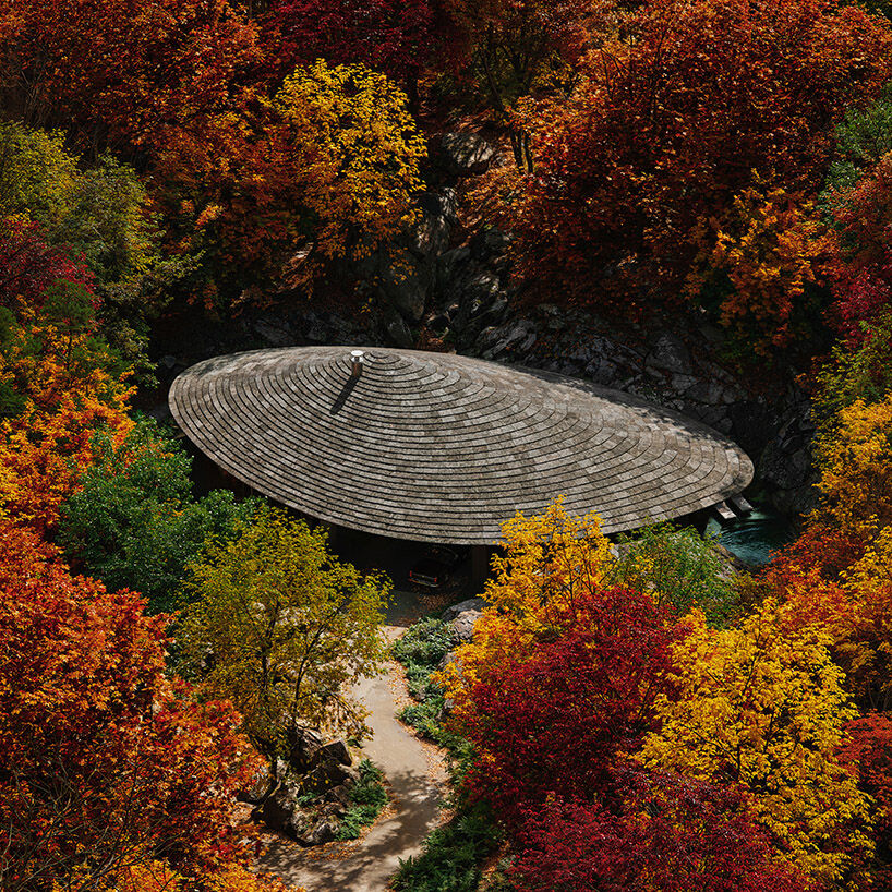Birdeye View