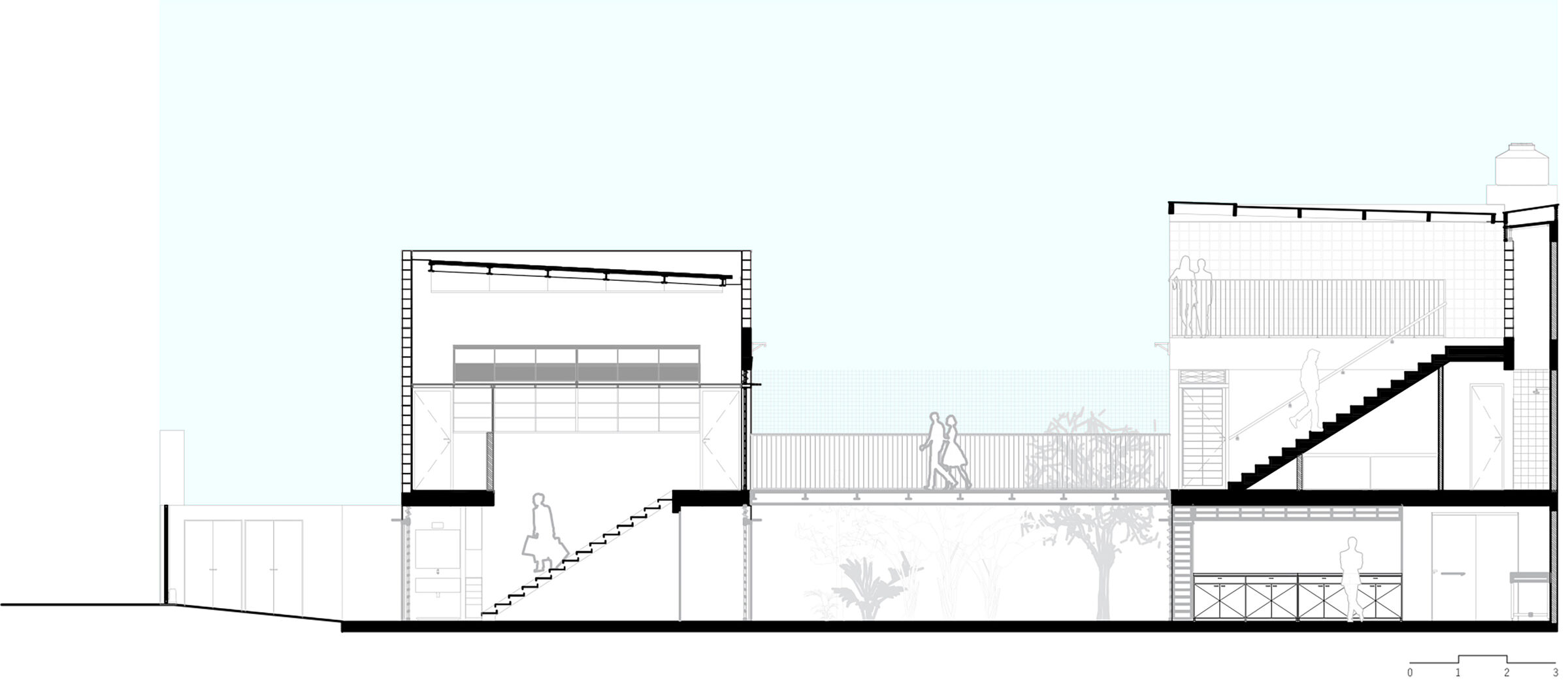 trans section