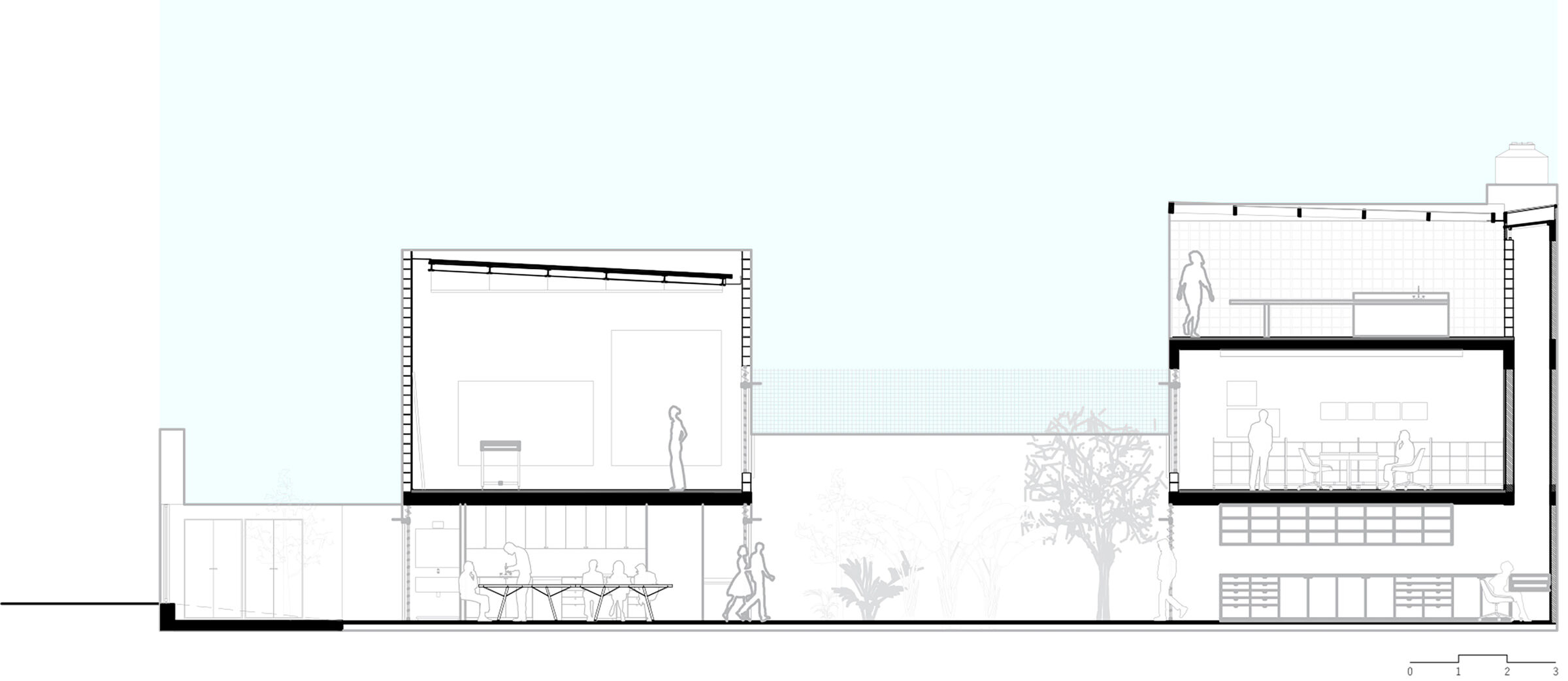 trans section
