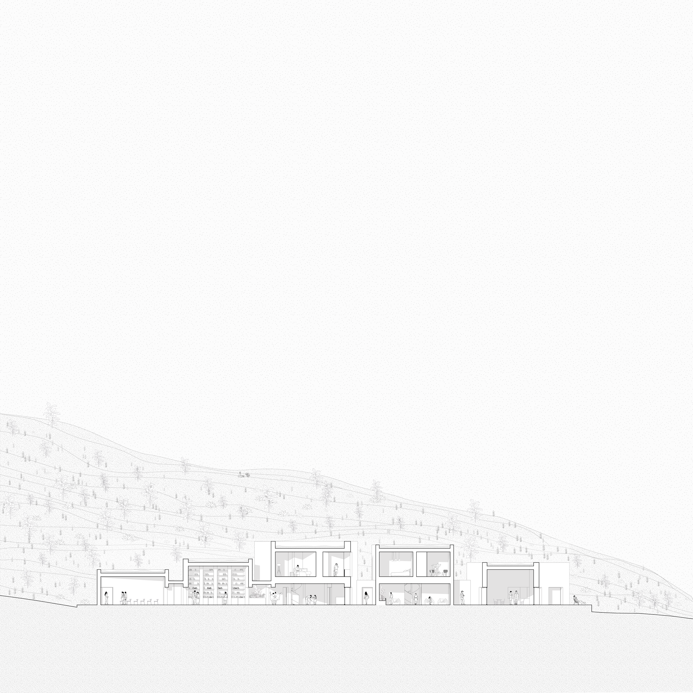 section