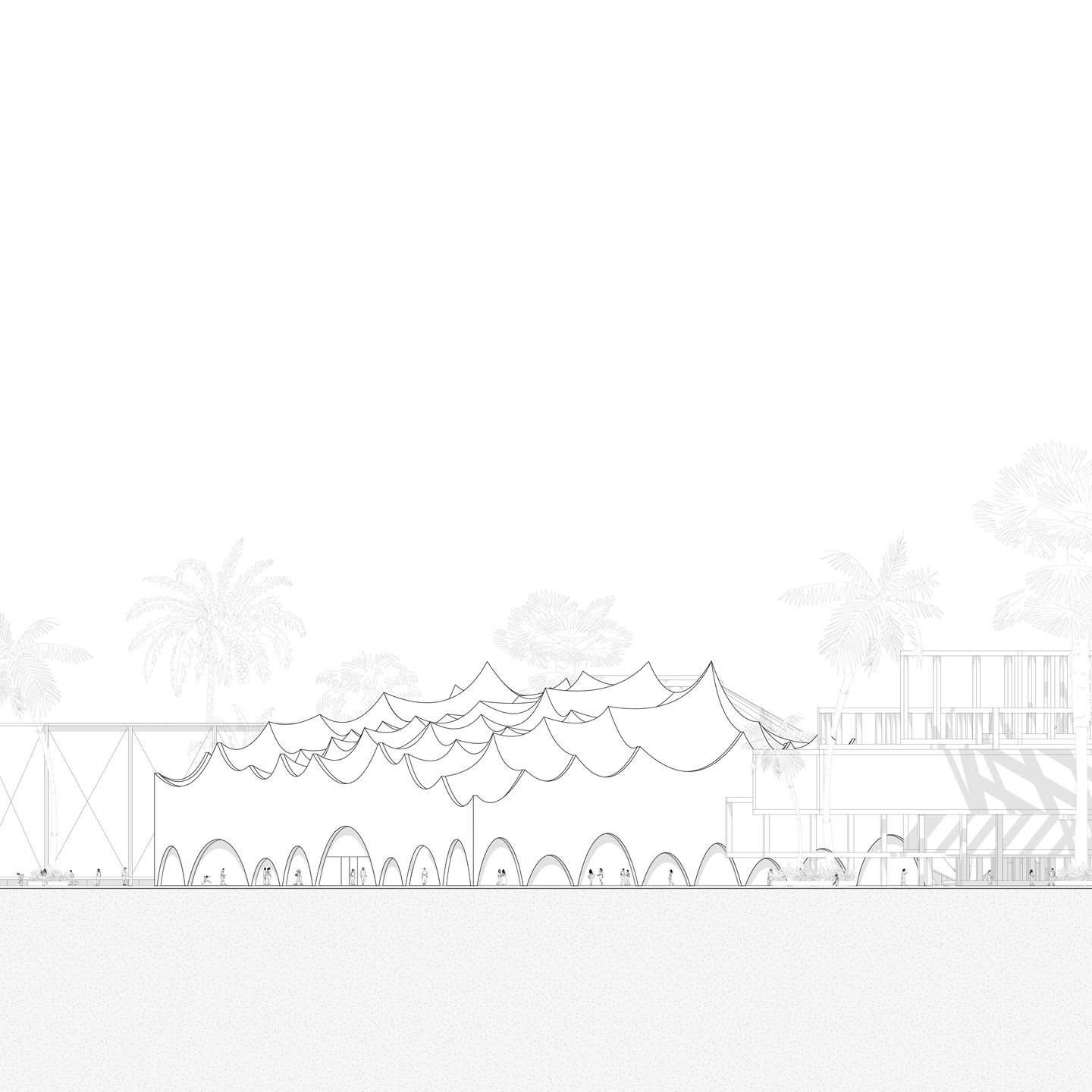 elevation