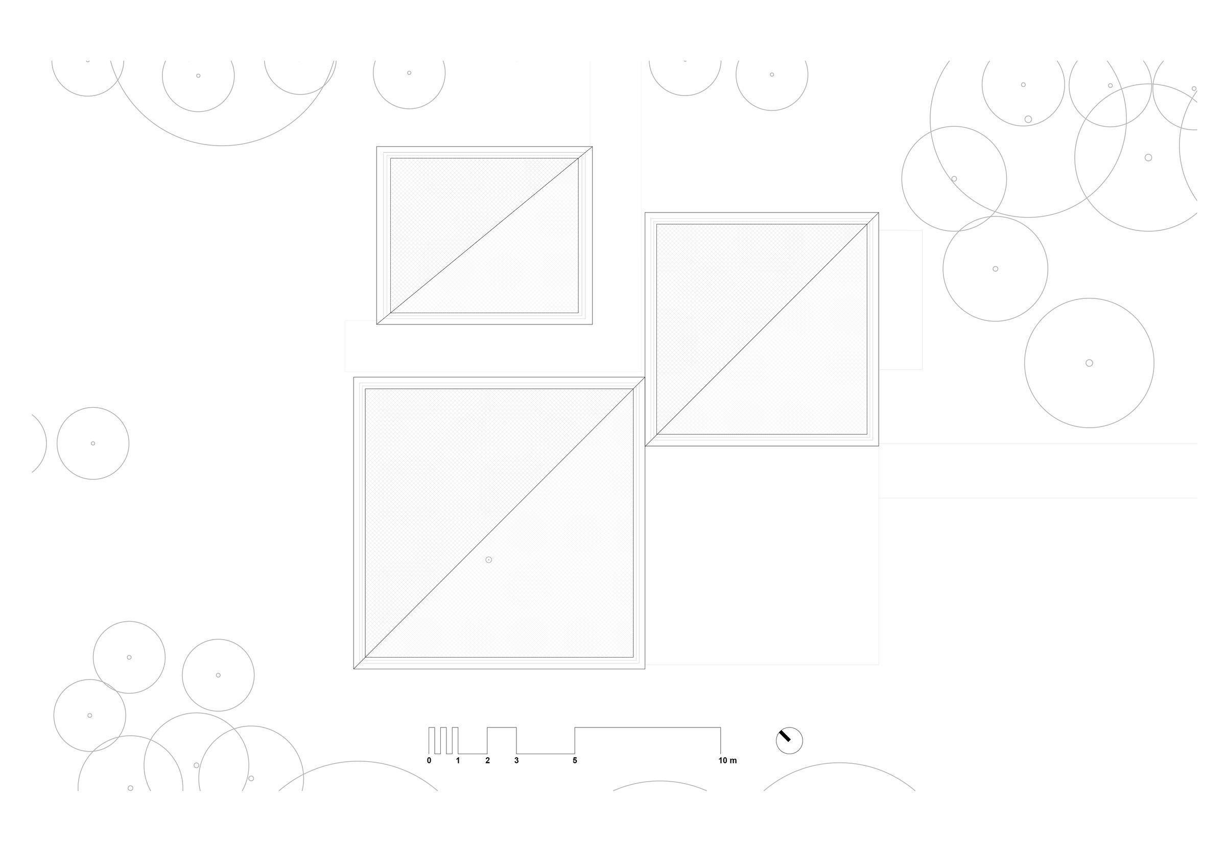 Forest House Roof Plan