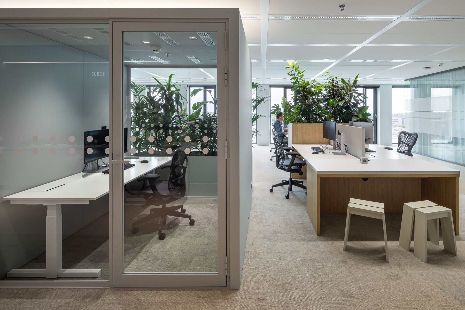 Open workstation area, with a demountable focus cube (Cube I) and height-adjustable desks. Large plants in custom oak planters act as natural dividers between work zones.