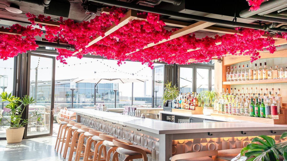 Lucha Rosa at Moxy Hotel DC