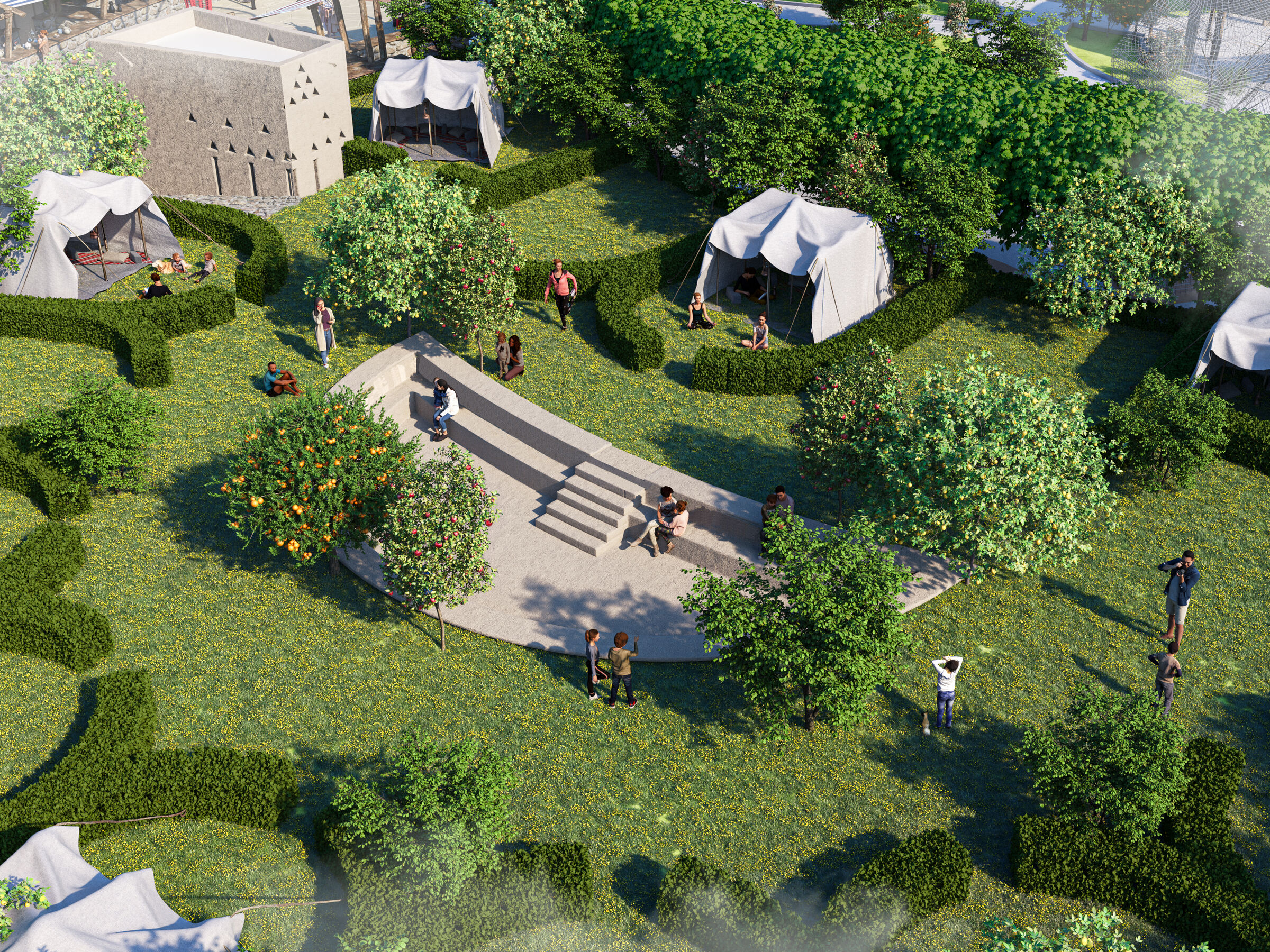 The Camping Area