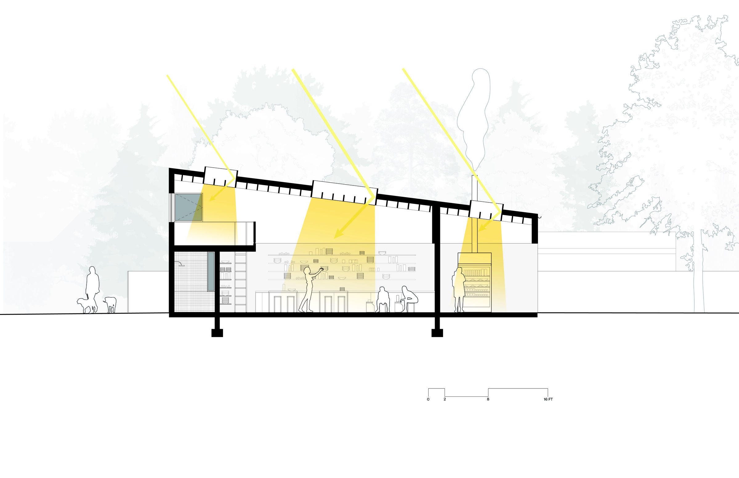 Skylight N/S Section