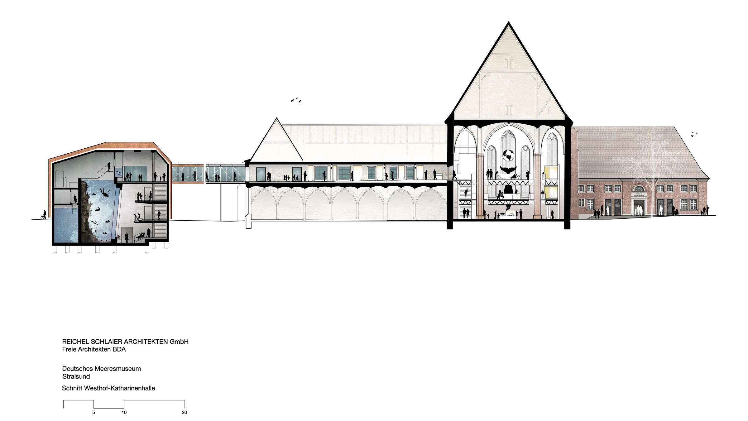 Cross-section of Large-Scale Aquarium, exhibition and Katharinenhalle