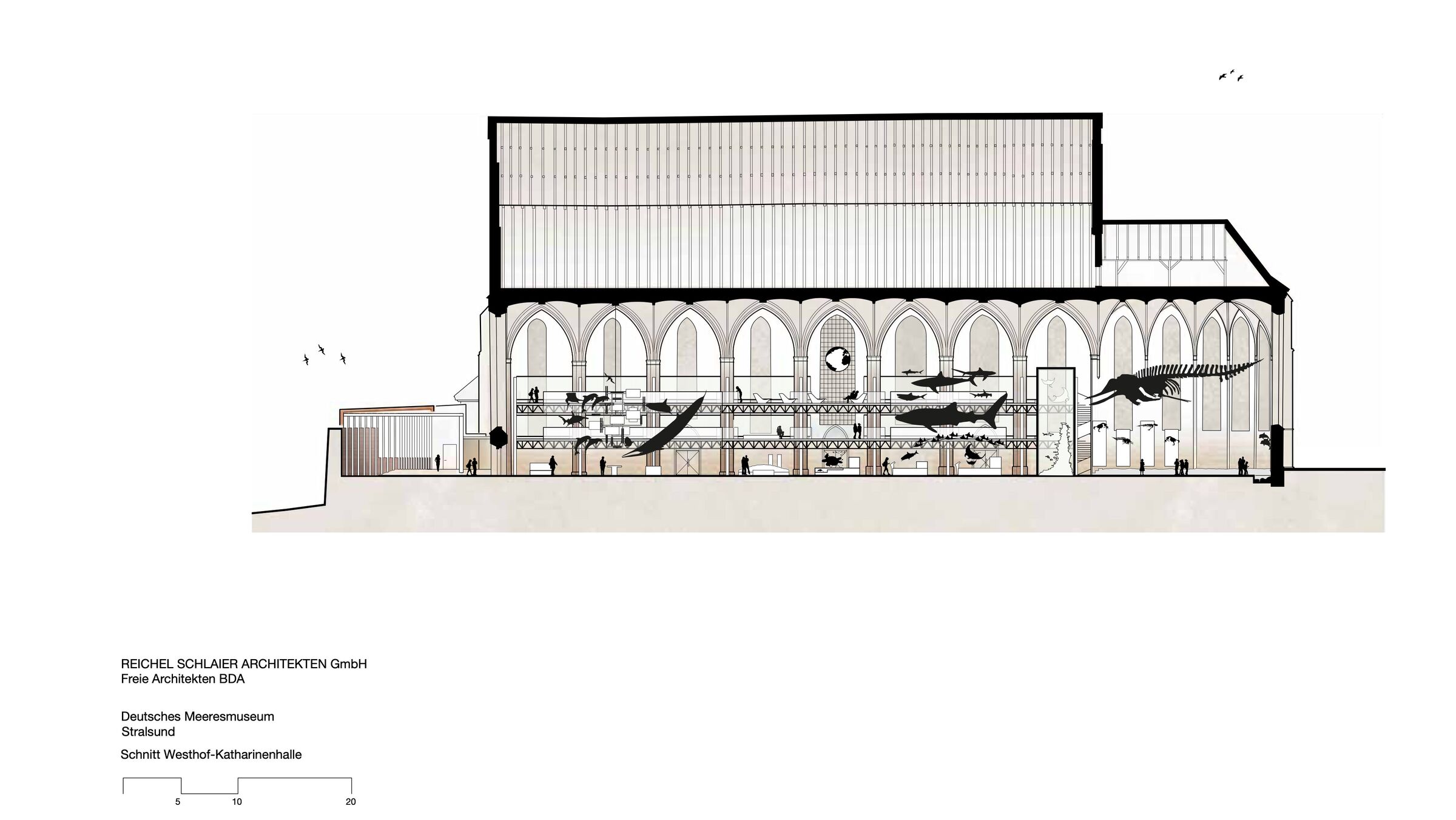 Cross-section of Katharinenhalle