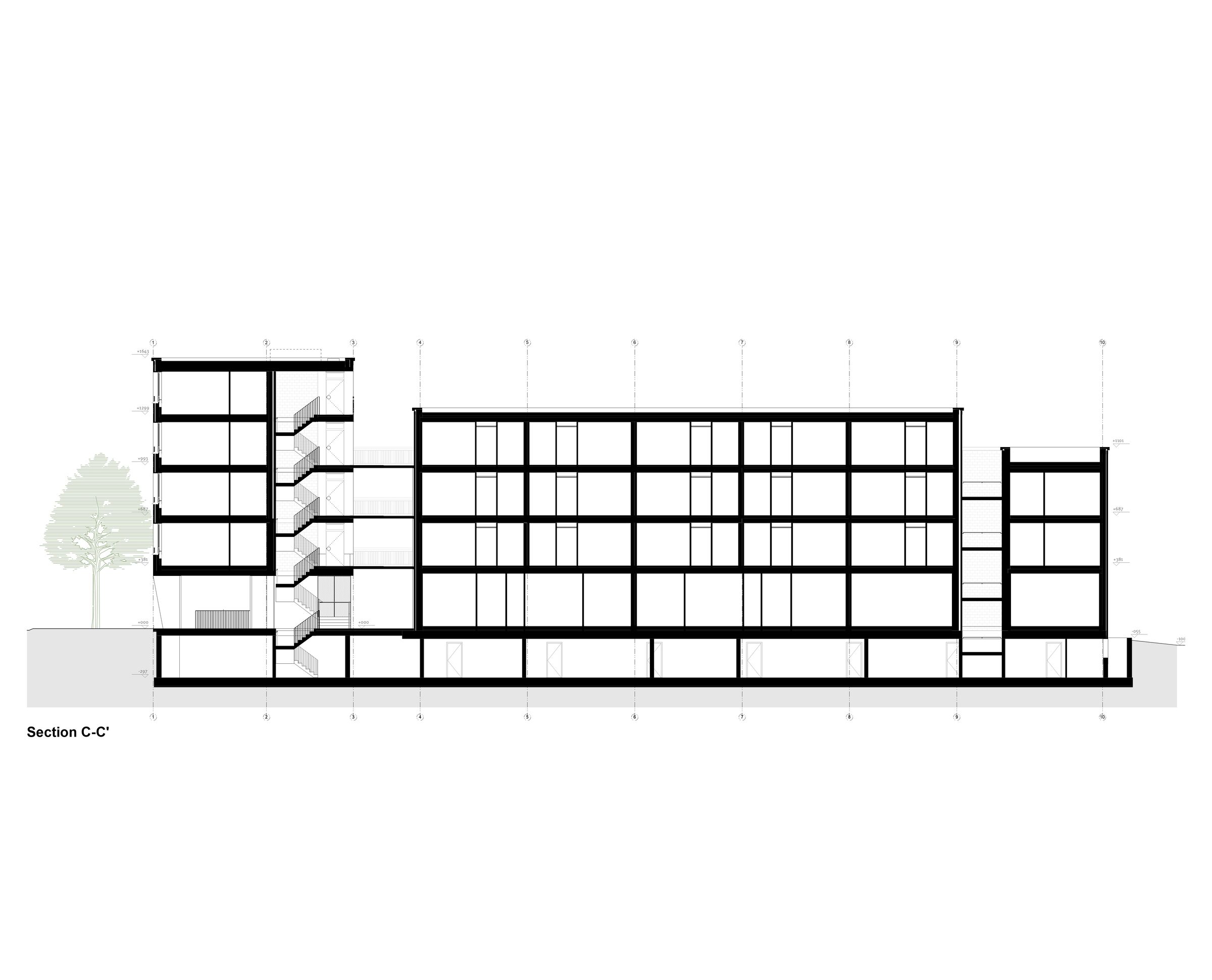 section C-C'