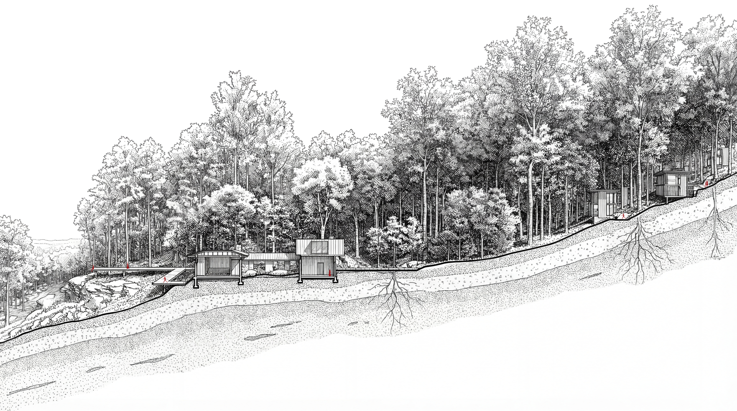 Architecture recedes, allowing the presence of forest and memory to emerge.