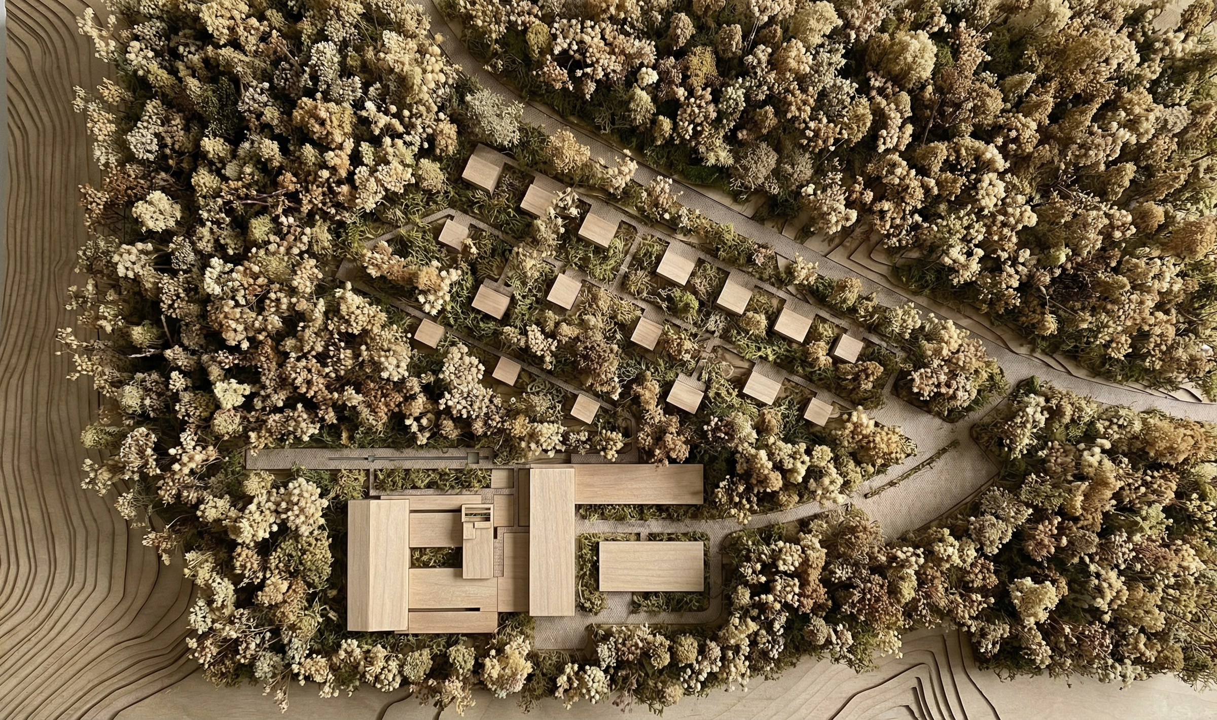 The project is organized as a field condition, where built fragments and forest clearings coexist as a continuous system.