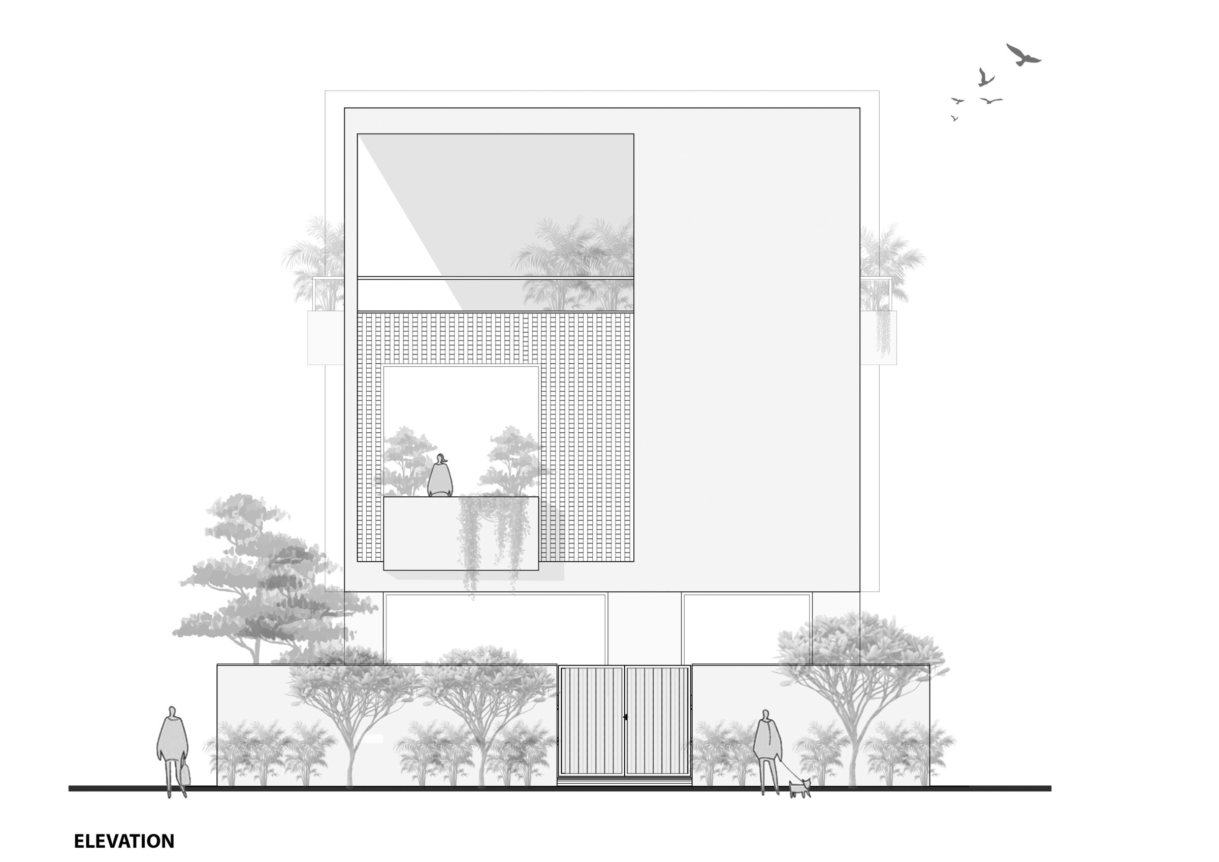 ELEVATION