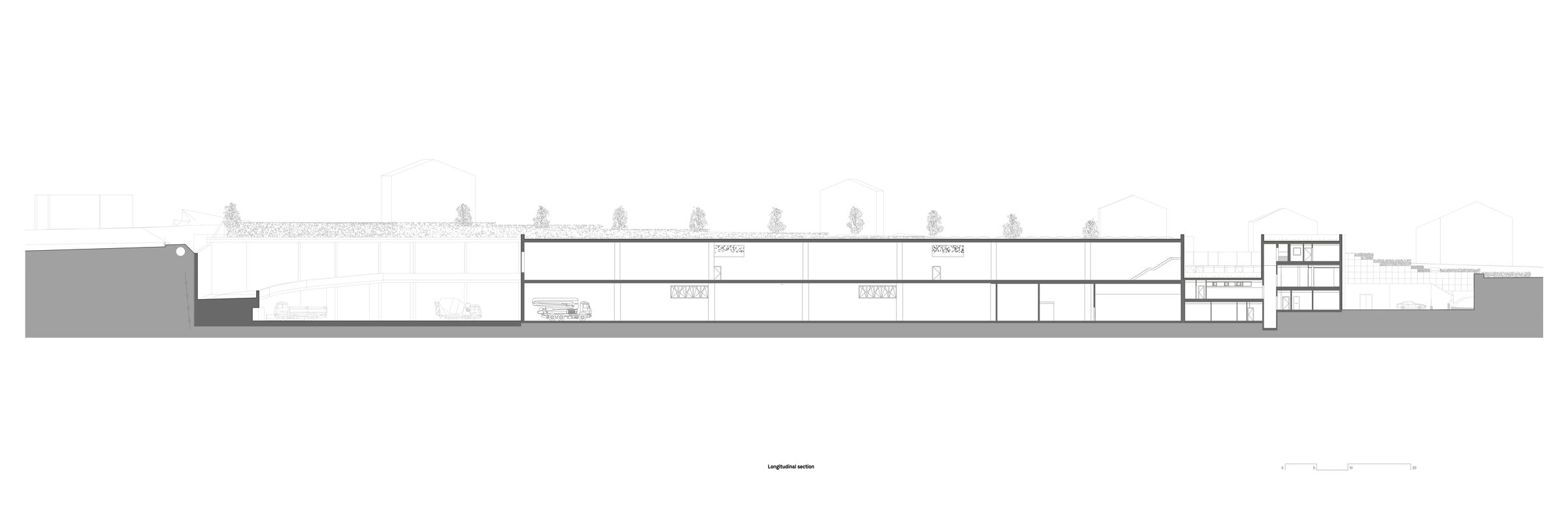 Longitudinal section