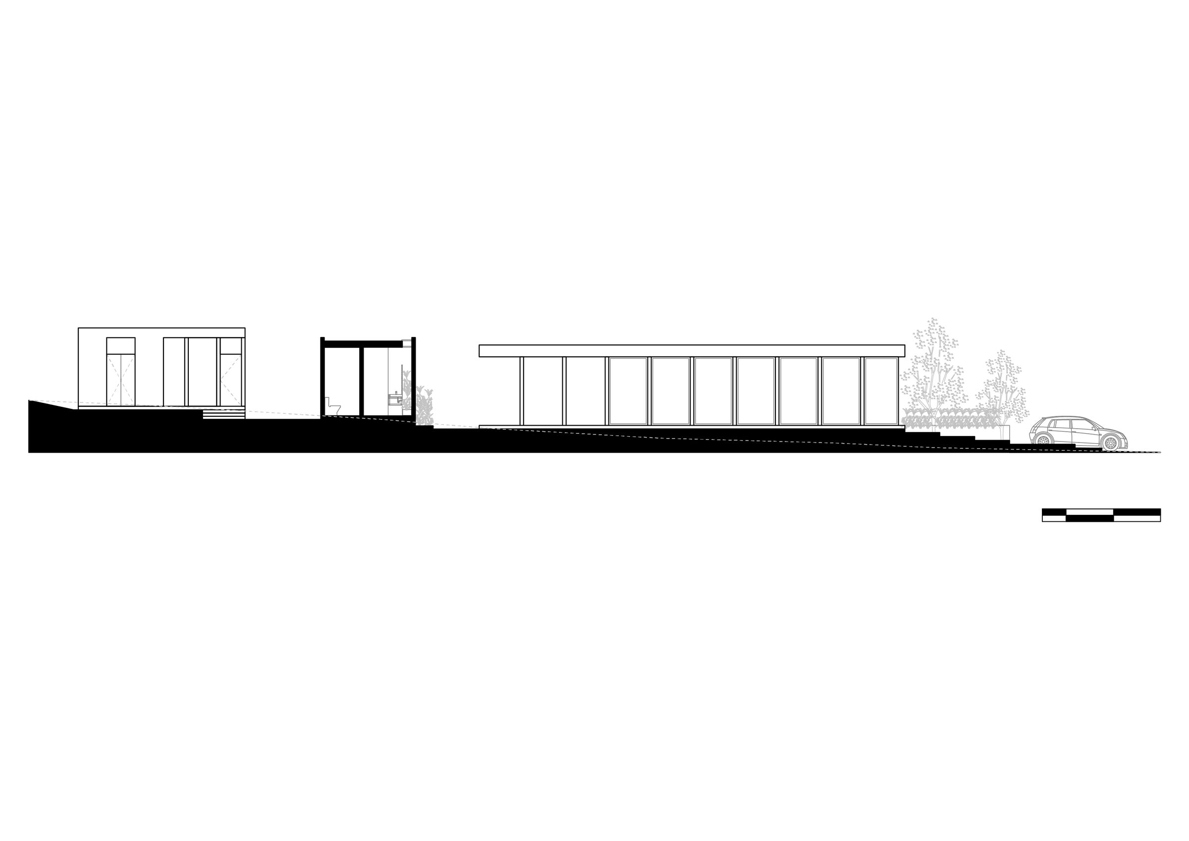 Longitudinal Section