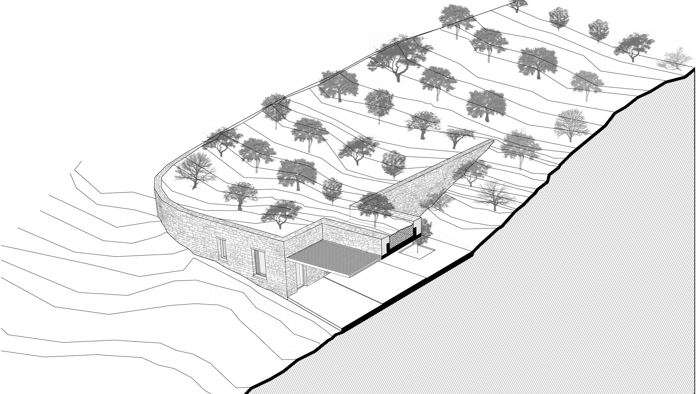 Guesthouse perspective section