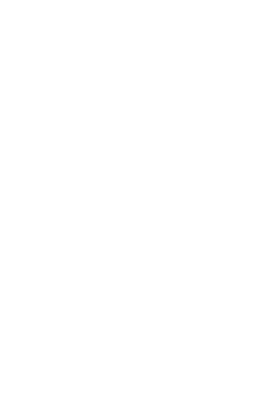 Conceptual Sketch