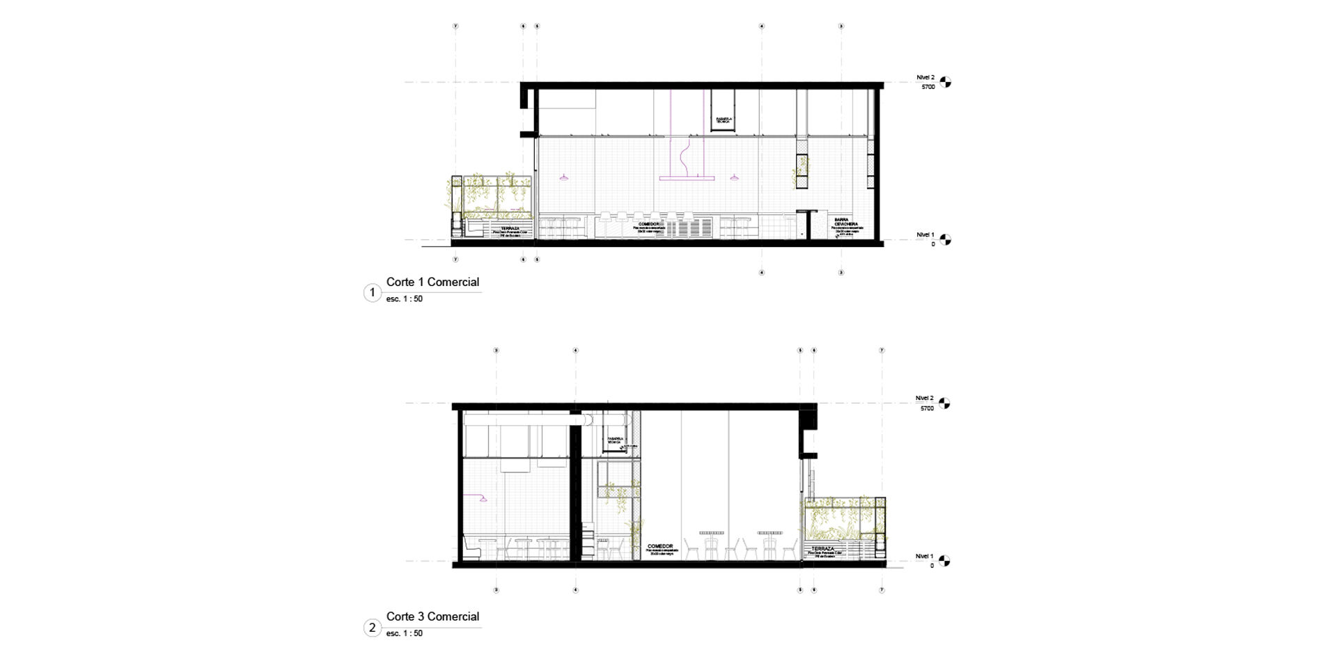 Section