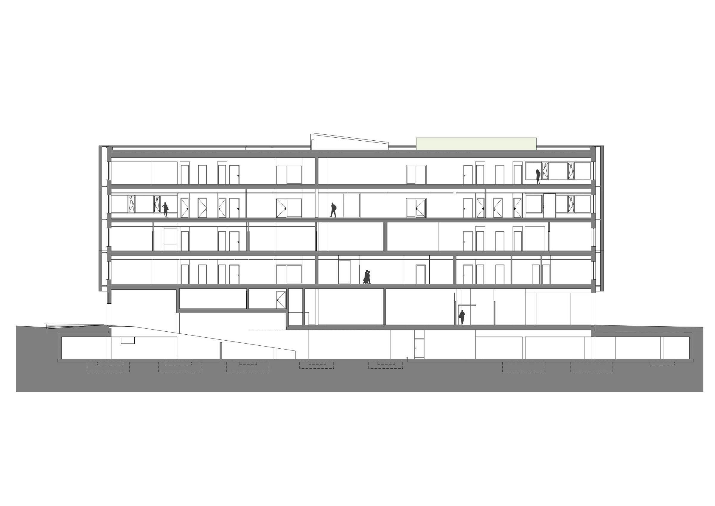 Longitudinal section