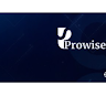 prowise systems
