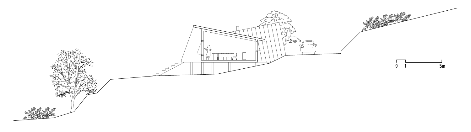 SECTION 01