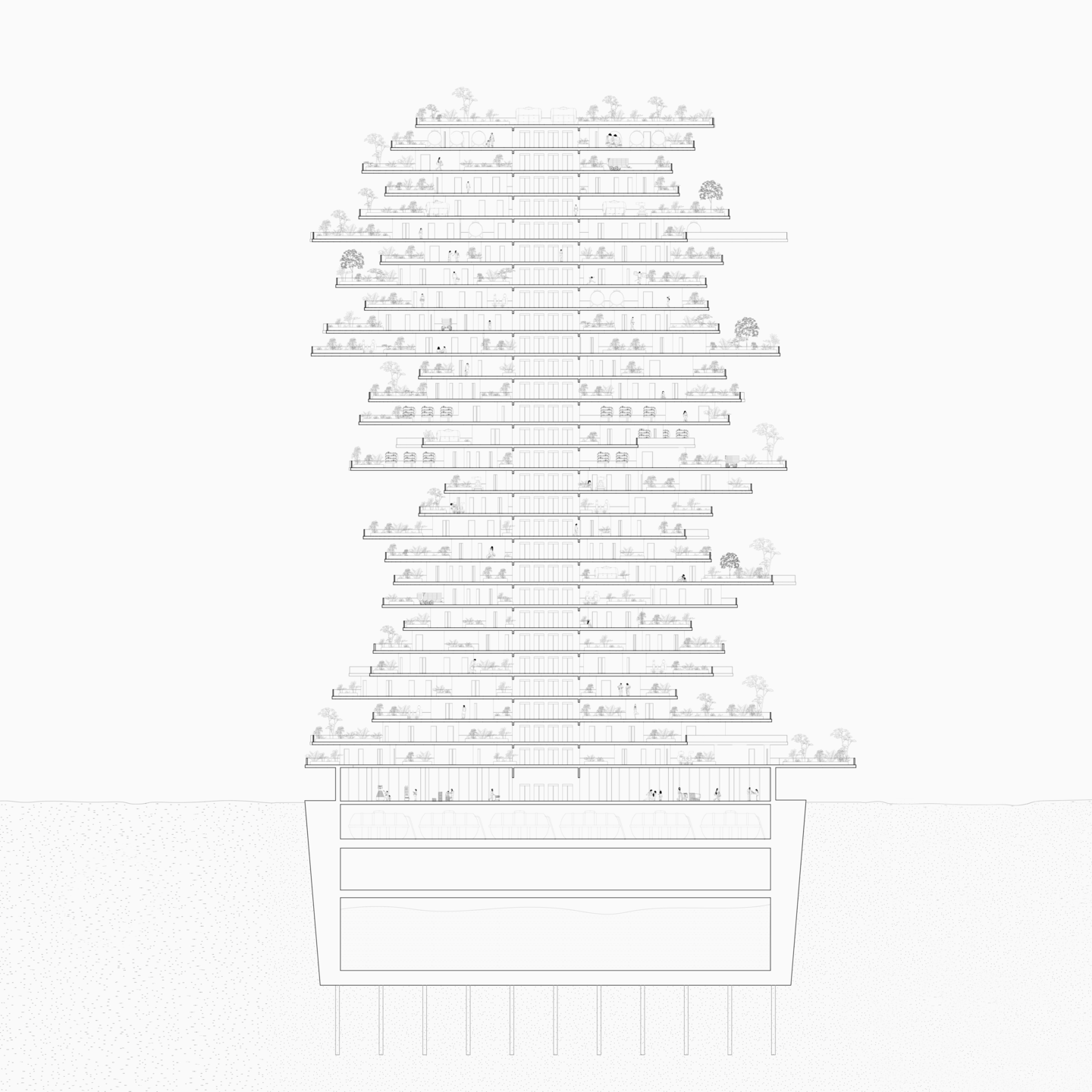 section