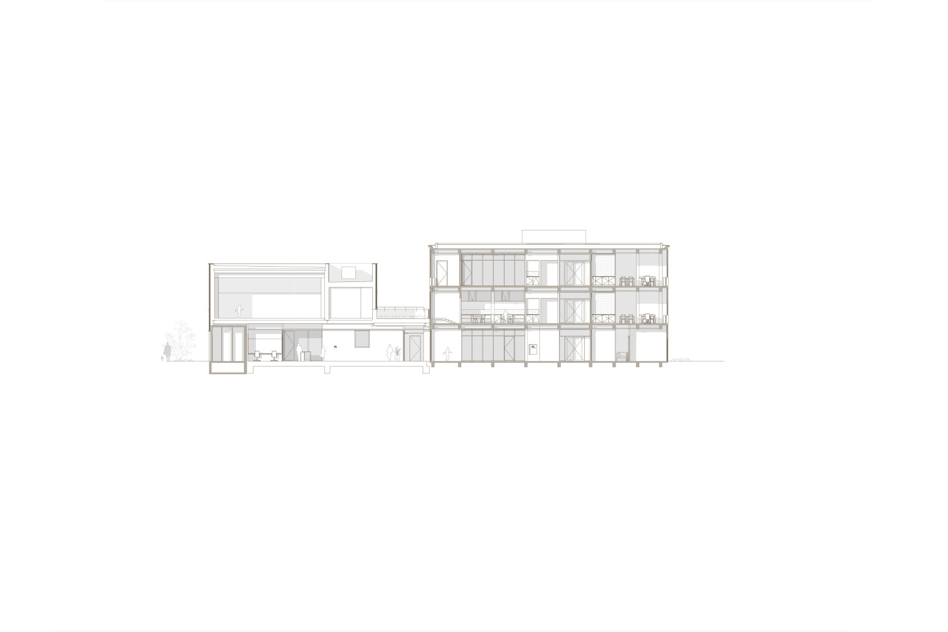 section
