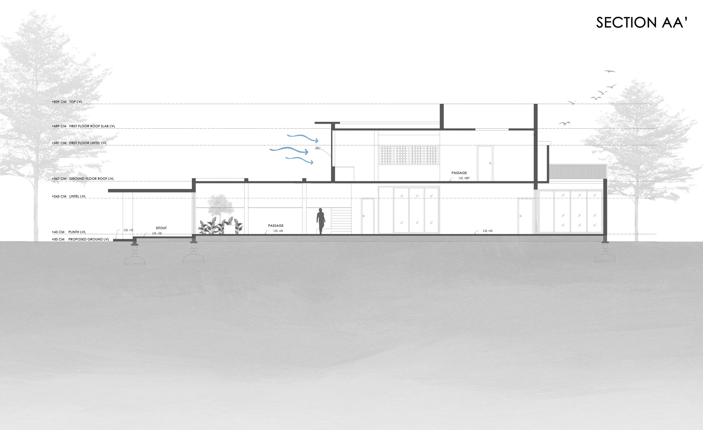 SECTION AA