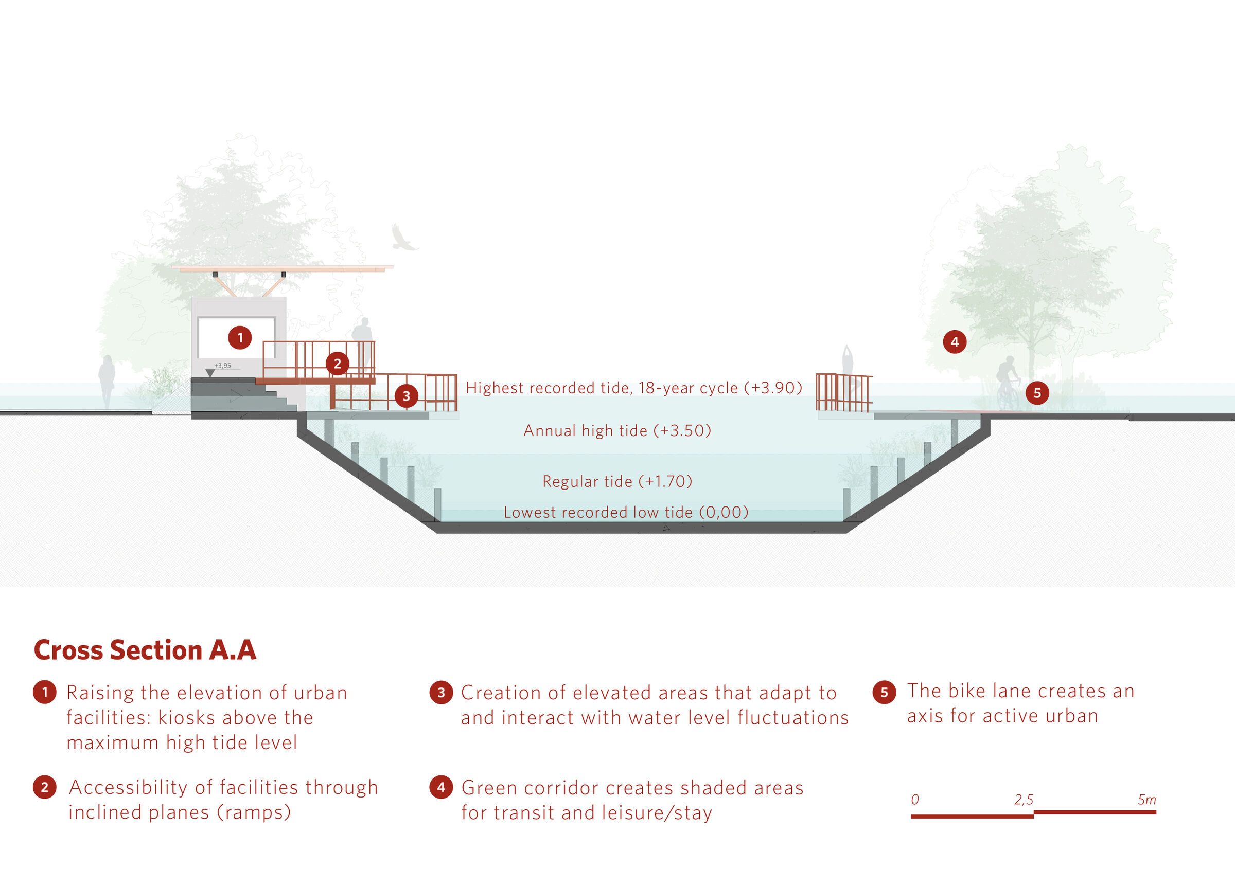 Cross Section AA