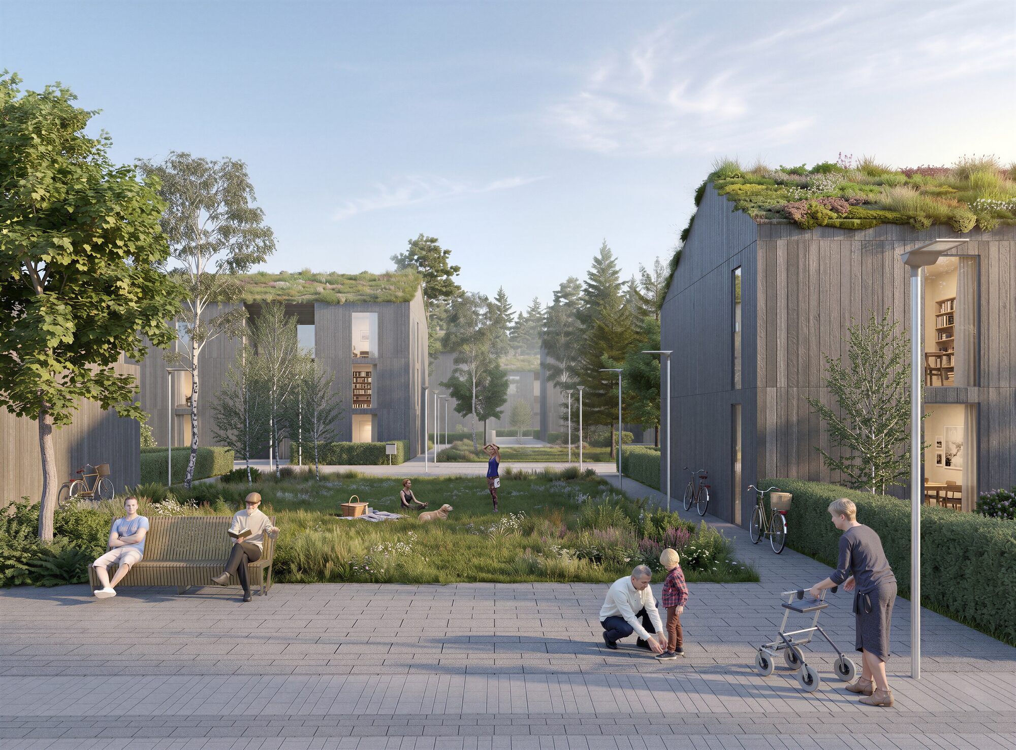 A communal green space set amongst buildings made from timber with green roofs, designed to foster intergenerational socialising and accessibility.