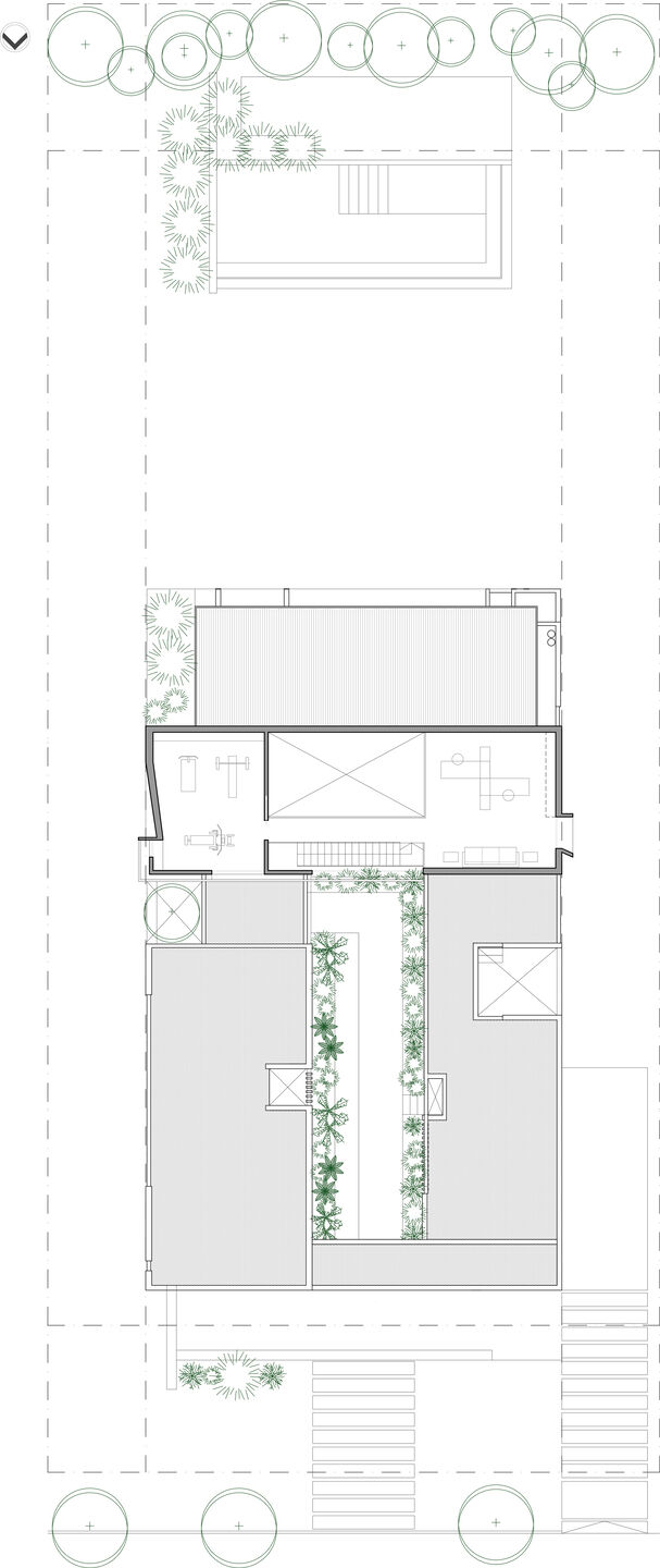 Planta Alta
