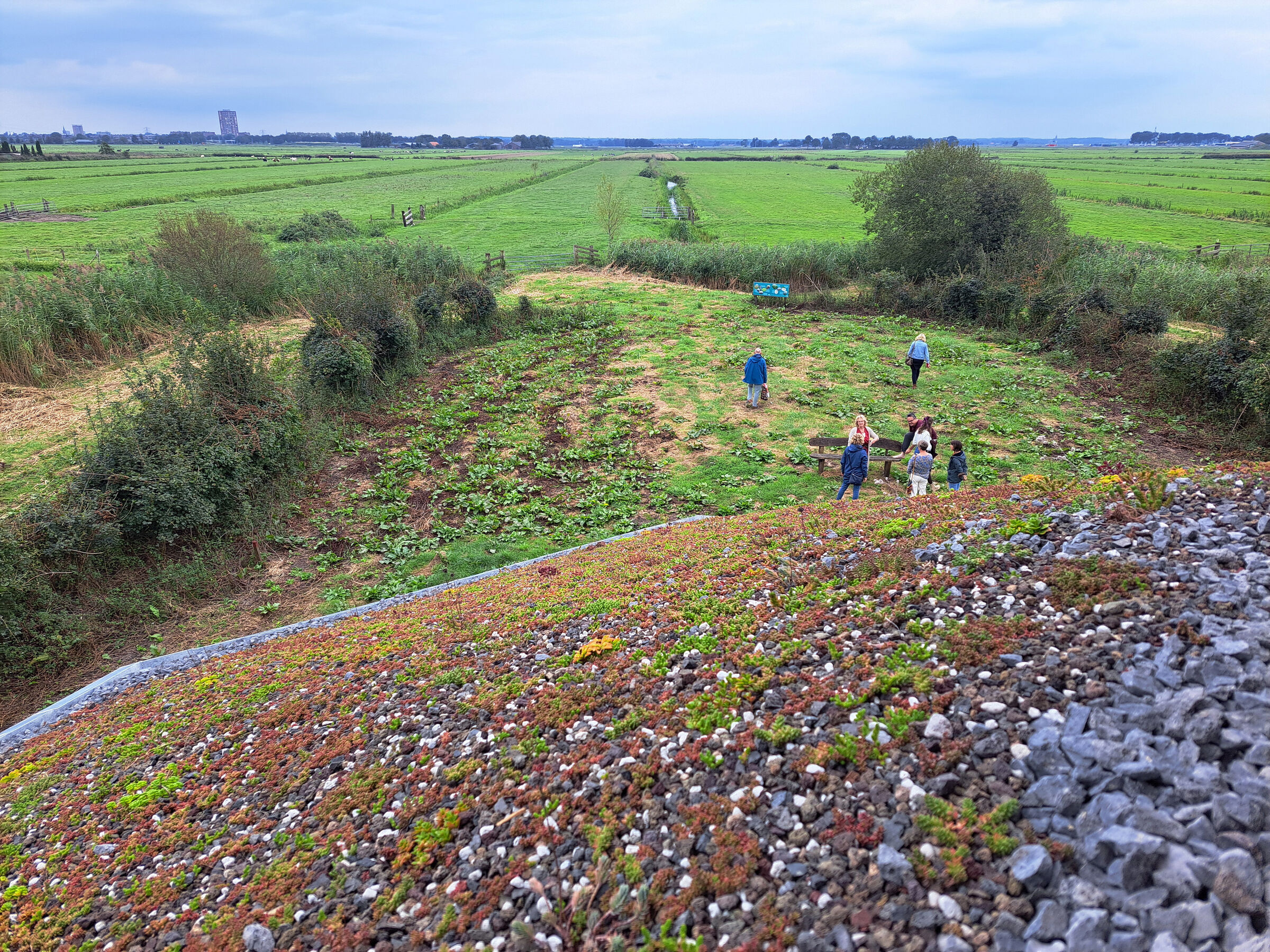 Het sedumdak sluit harmonieus aan op het omliggende landschap