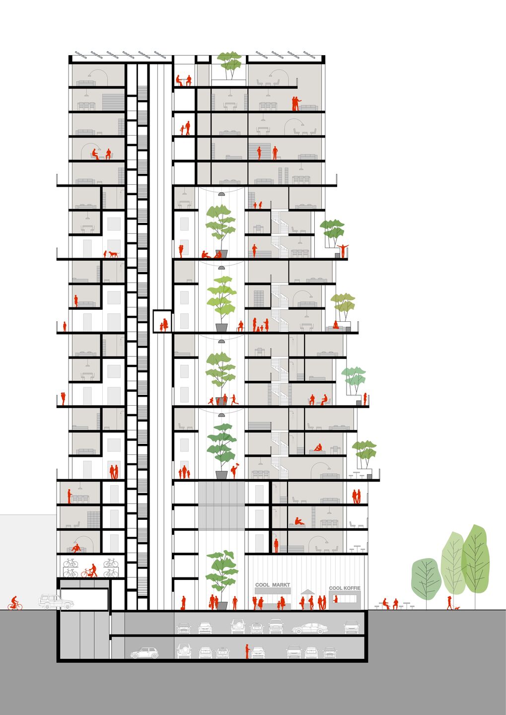 Illustrated section
