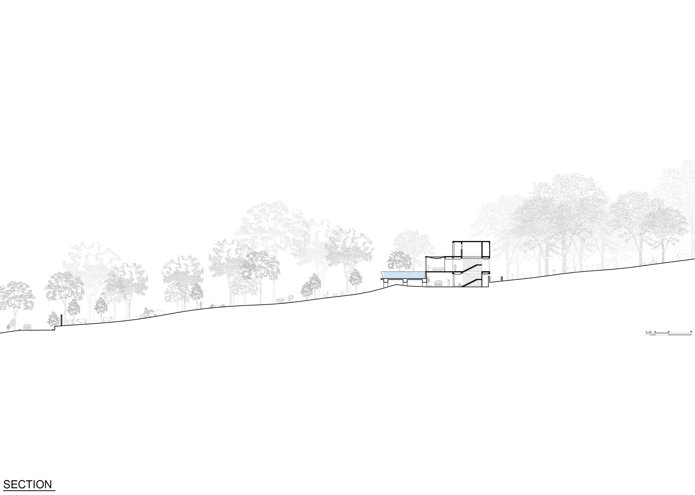 SITE SECTION