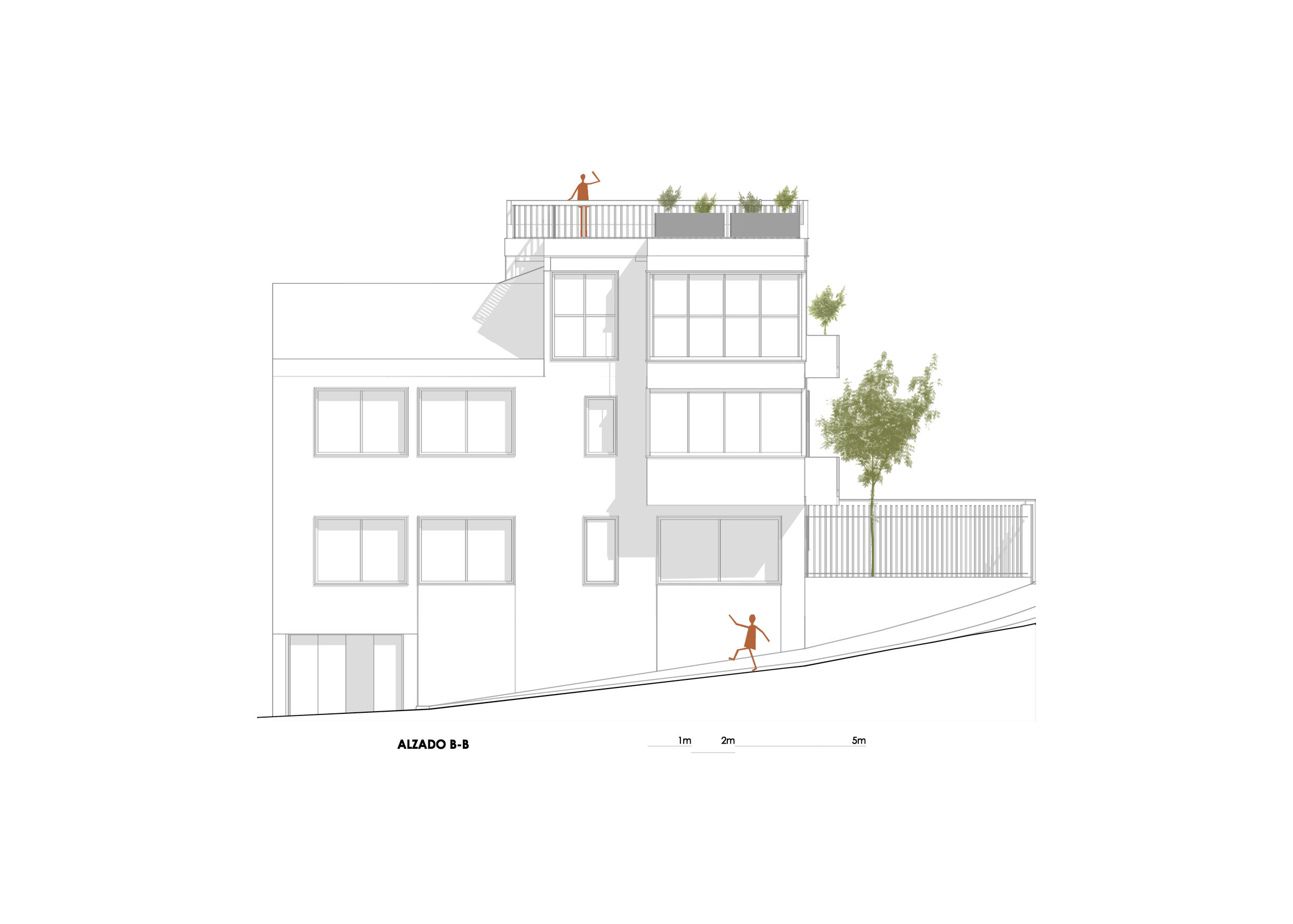 Side Elevation