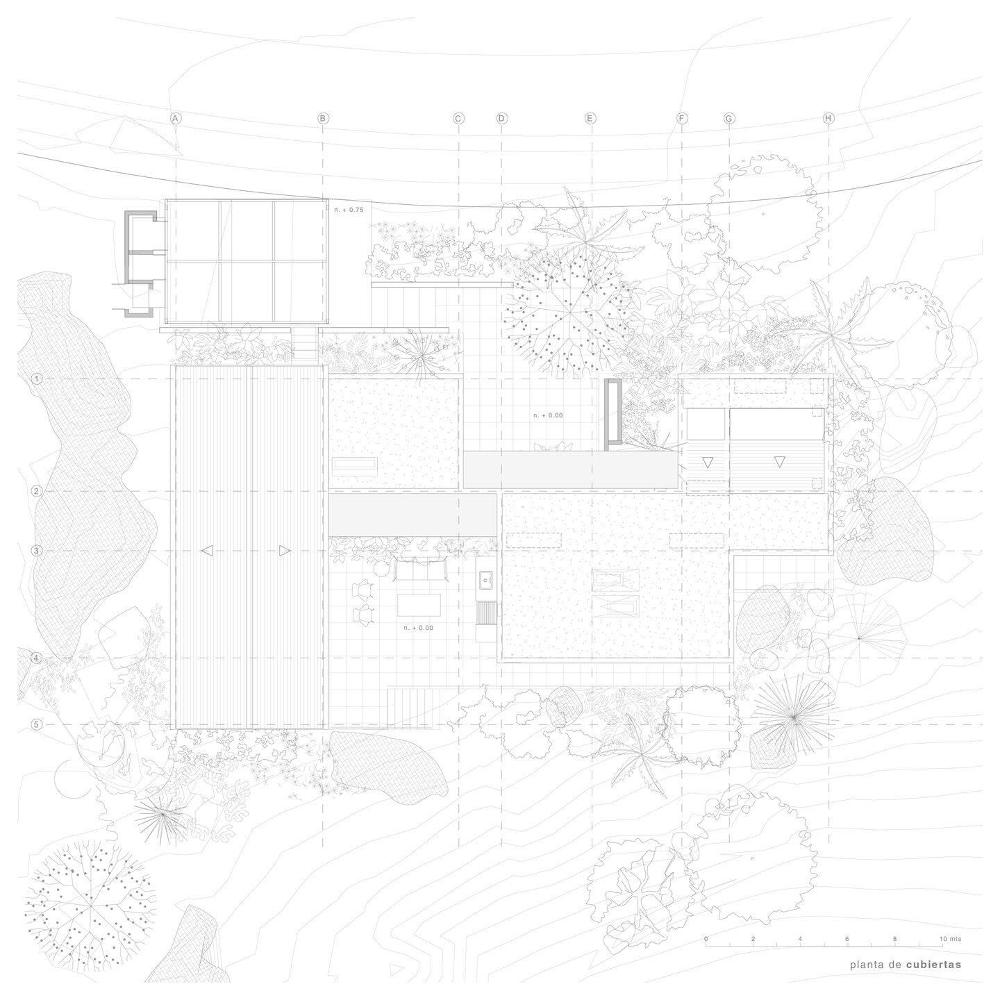 General plan