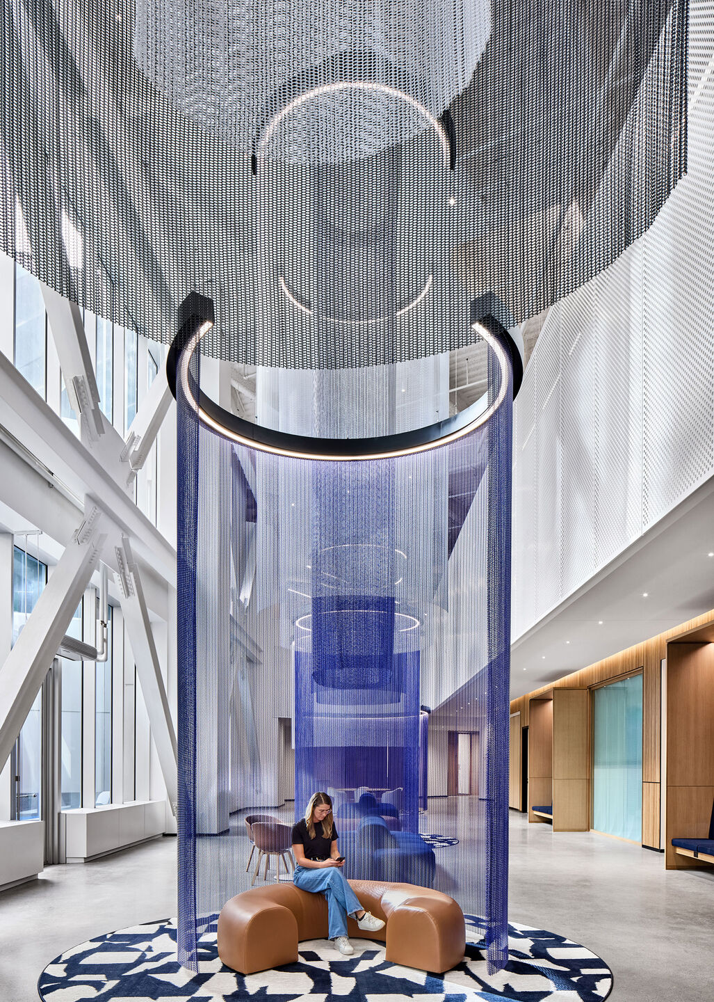 Delta 24RG hanging wire mesh in a powder coat finish in the Ford World Headquarters