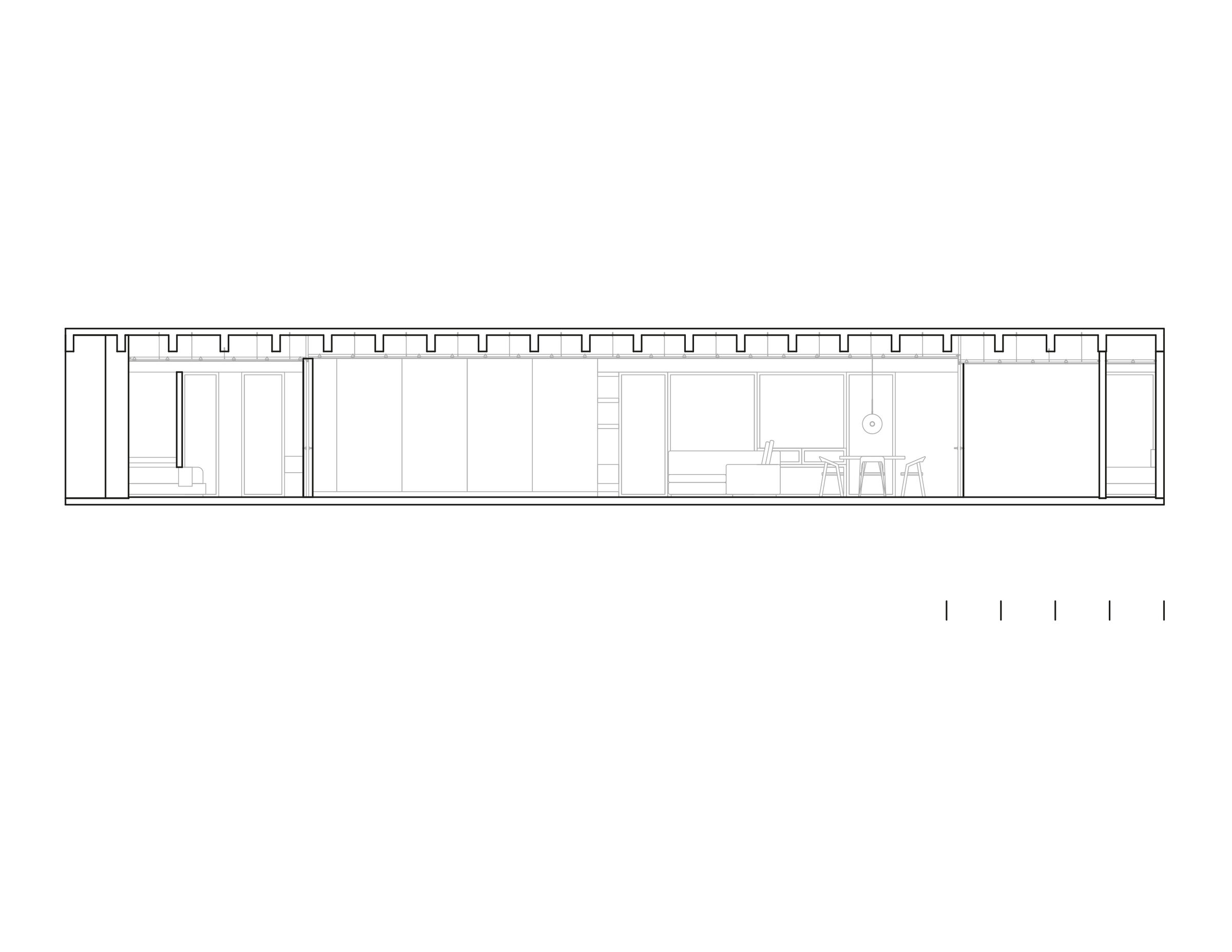 Longitudinal Section